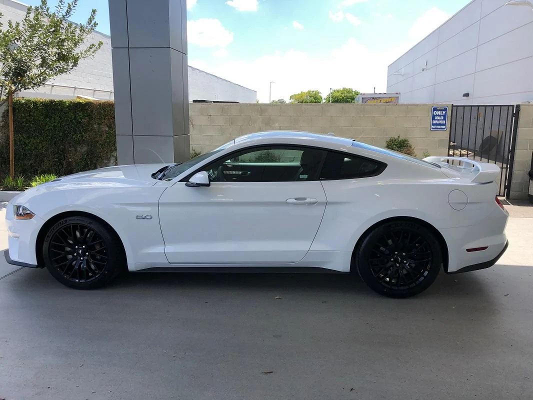 S650 Mustang Automatic COTUS Checker IMG_3514
