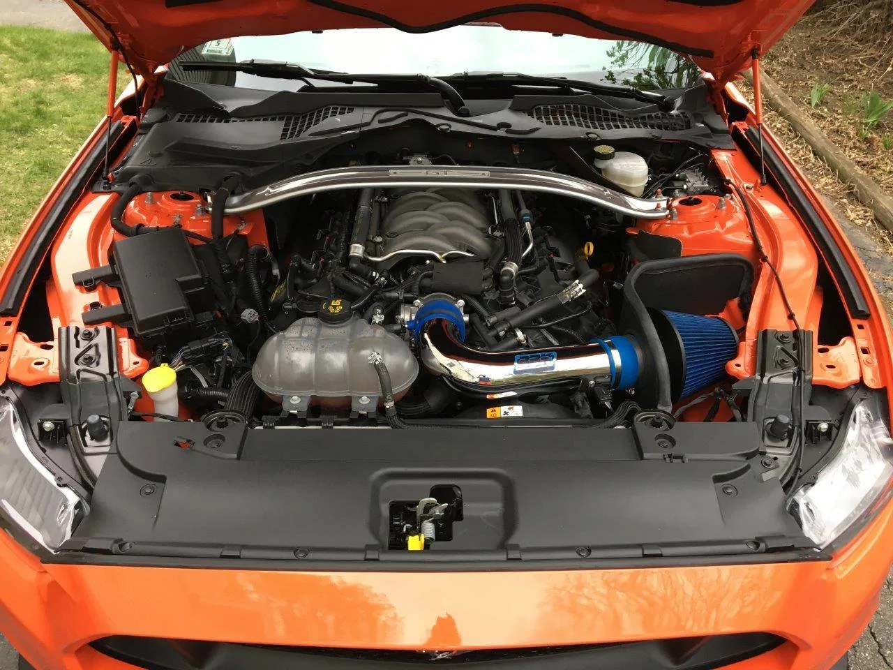 S650 Mustang Pic Test IMG_2300