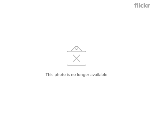 S650 Mustang test 39225363684_ea7574bcf8_b