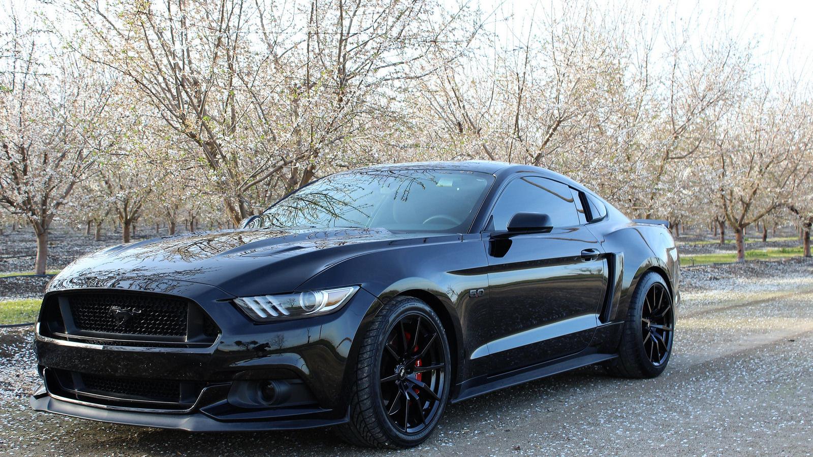 S650 Mustang Test 39953880724_f1867cfb1b_h