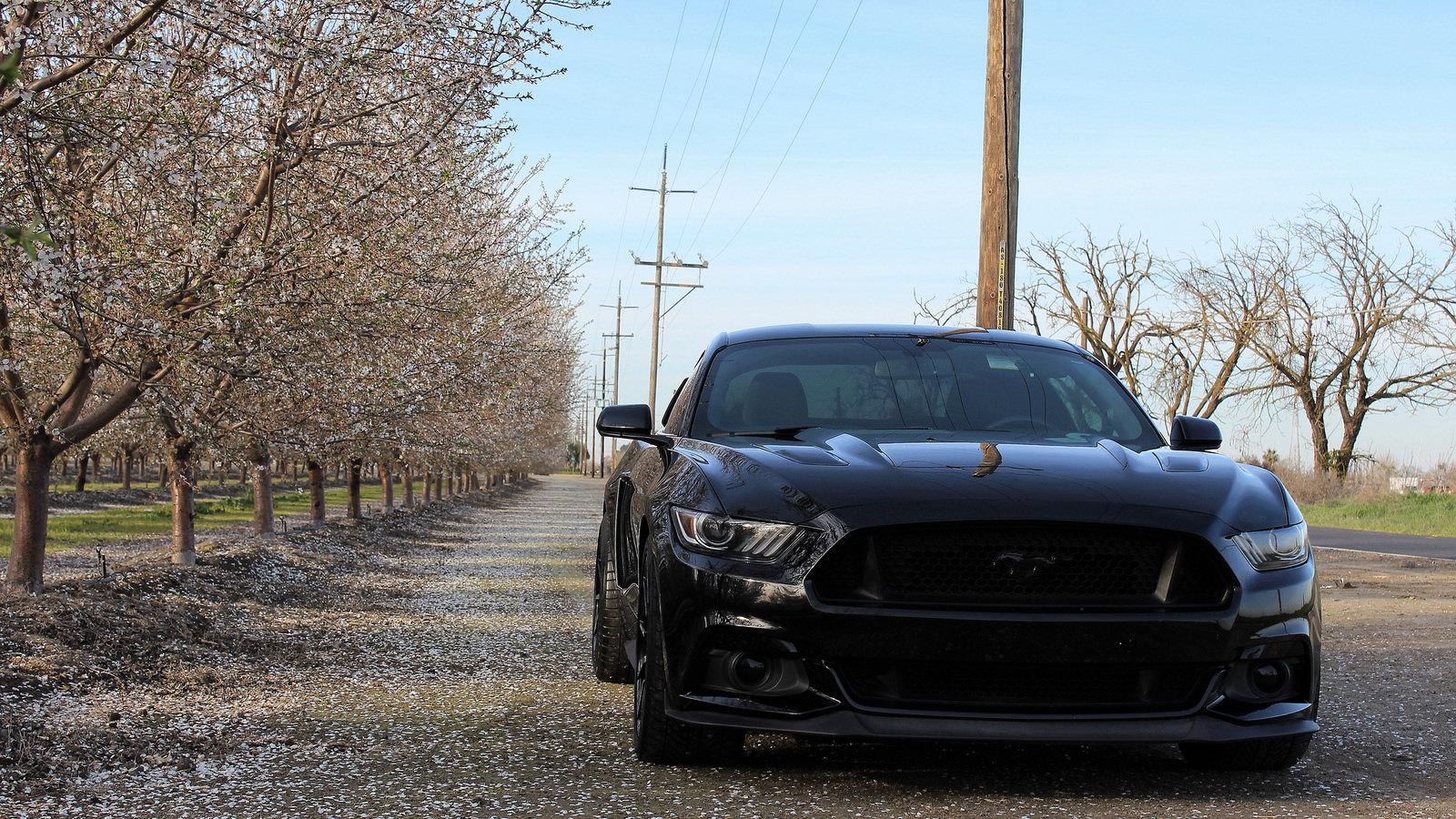 S650 Mustang Test 39768924305_5e141bf5fb_h