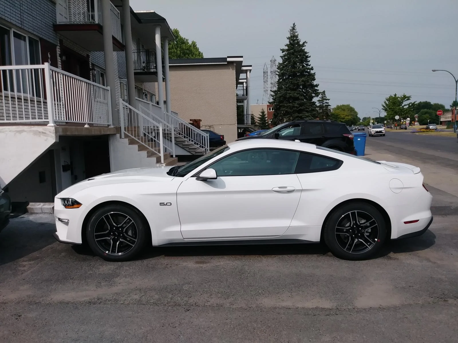 S650 Mustang Mustang Buying Basics + COTUS Guide scev46