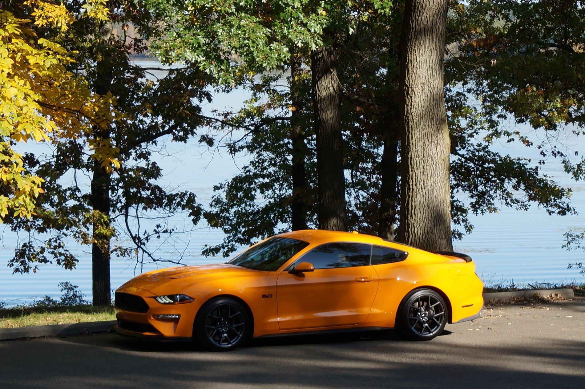 S650 Mustang Test, test DSC02239
