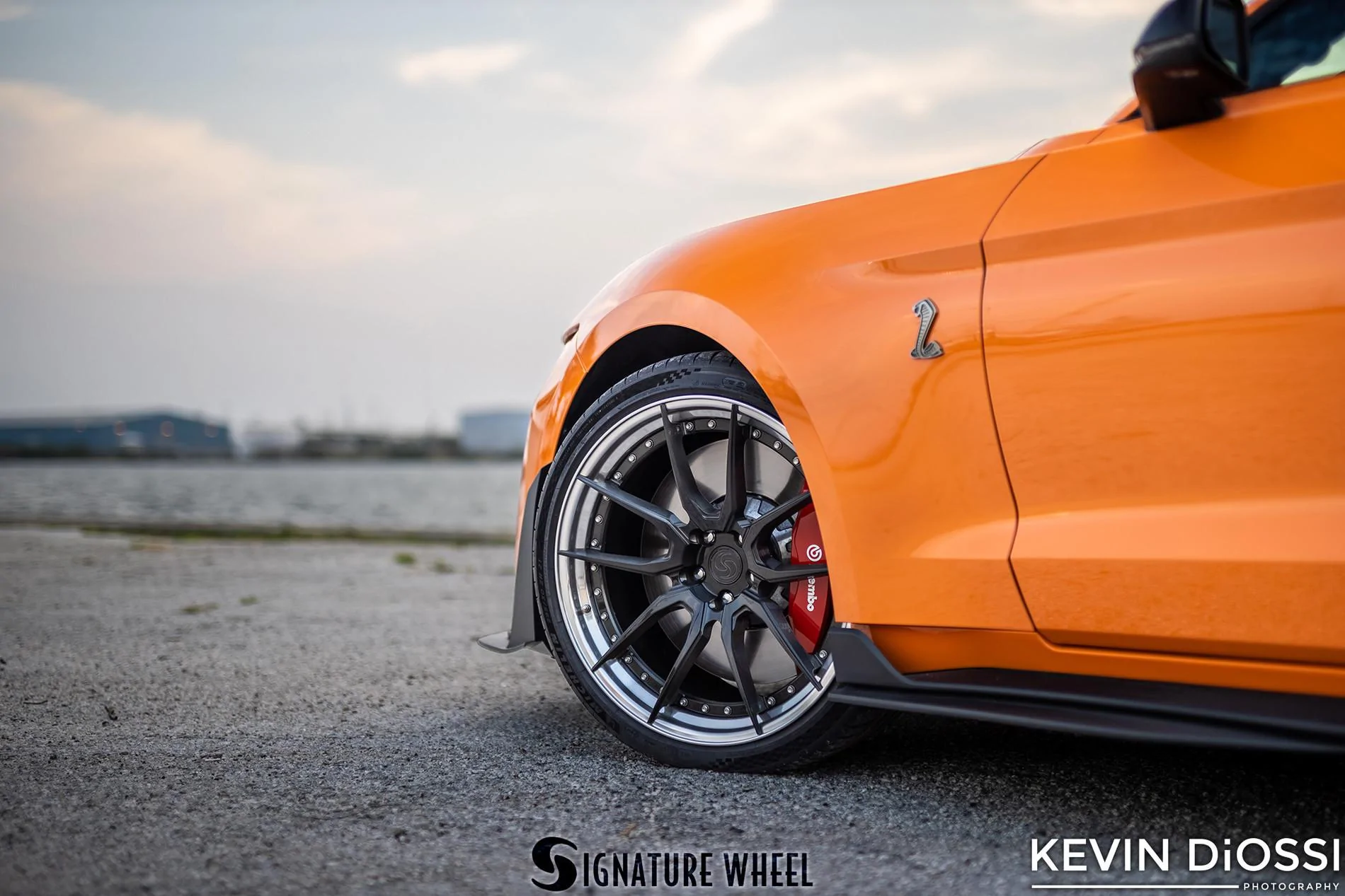 S650 Mustang tset SV302-S-GT500-Coastal-Dyno-by-Diossi-Watermark-1
