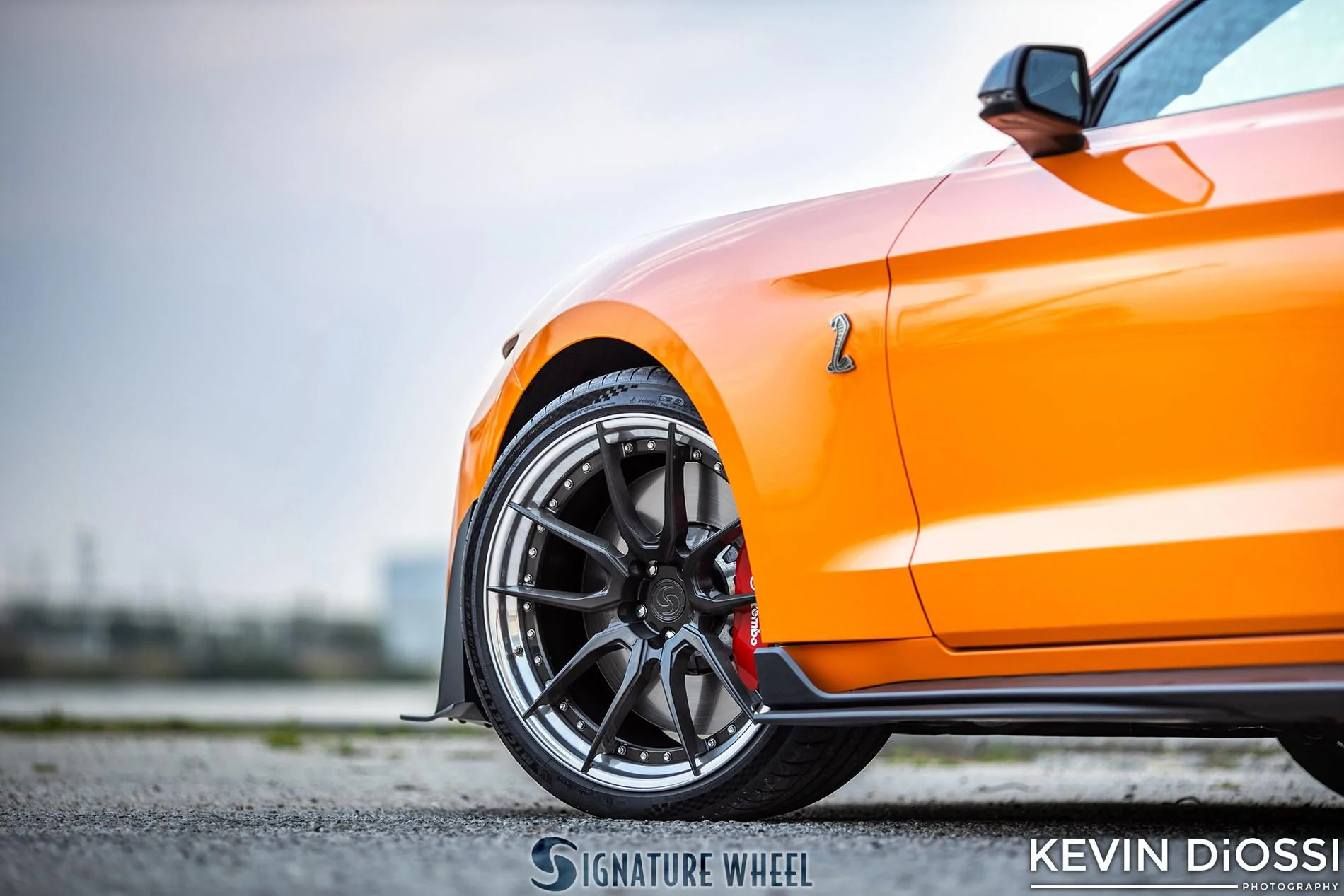 S650 Mustang tset SV302-S-GT500-Coastal-Dyno-by-Diossi-Watermark-21