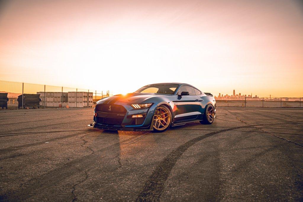 S650 Mustang Glad 9-D185-F21-CDF5-4-CB4-B78-B-574-B61-C8-BC40
