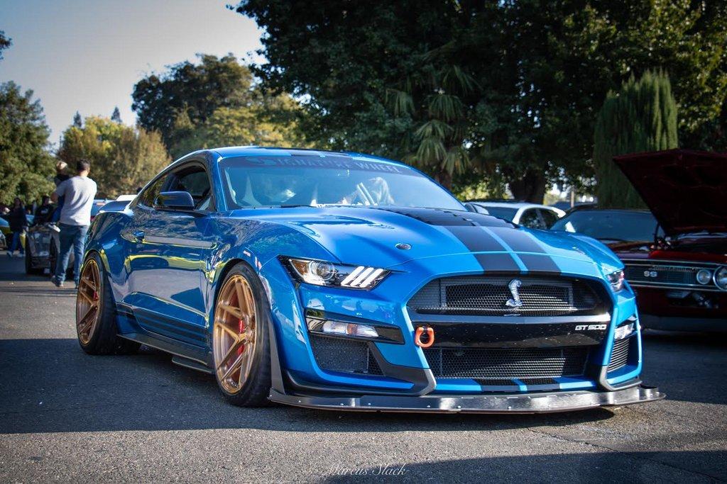 S650 Mustang Glad F74-A94-A2-1-BC8-4-FC7-858-E-4-E7-A8-FE98-D79