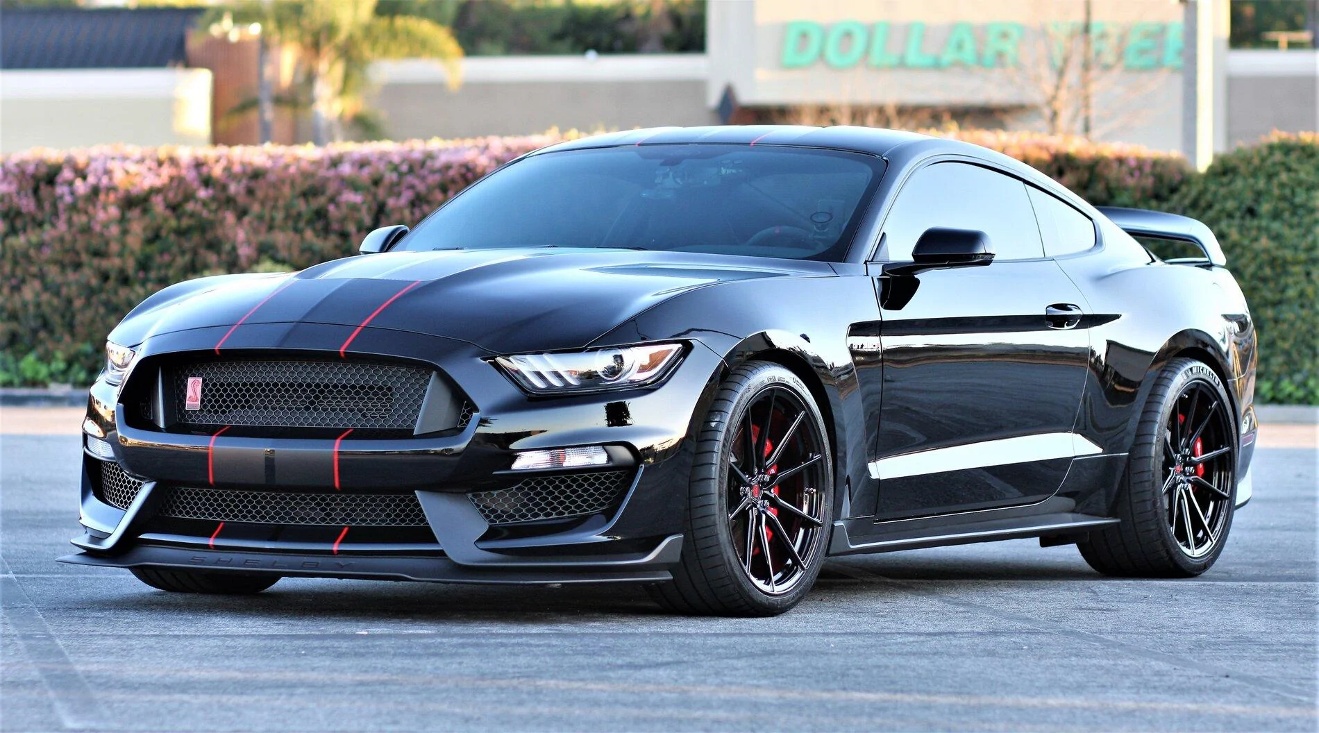 S650 Mustang Introductions & Welcome Thread 👋 01c