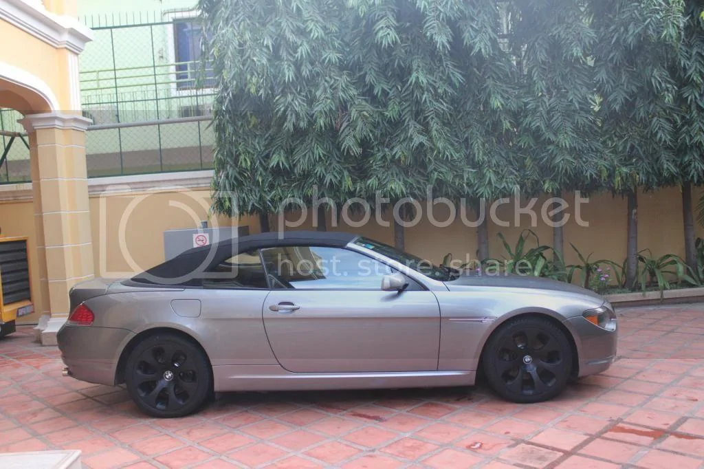 S650 Mustang Post Pictures of Your Car IMG_5077_zps5633426c