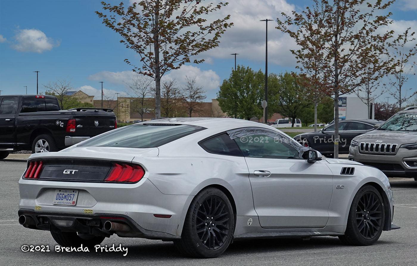 S650 Mustang Roush S650 Mustang test car? S650 Mule Roush 2