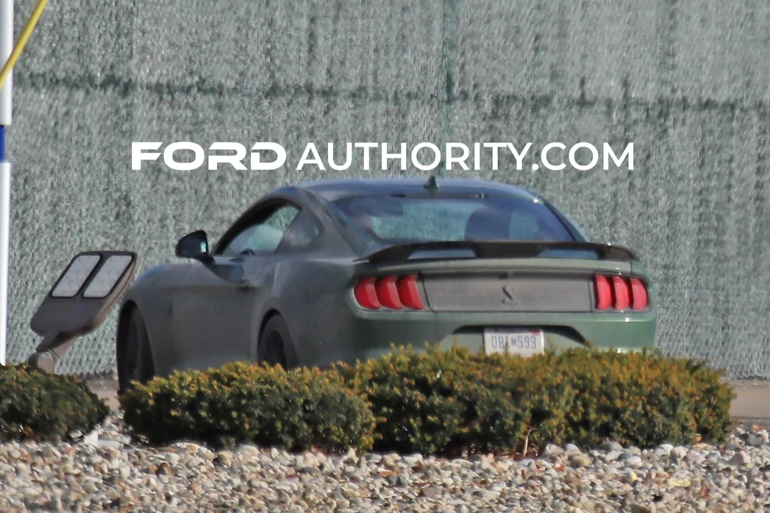 S650 Mustang S650 is out there somewhere, isn't she? 2022 Eruption Green GT500 9