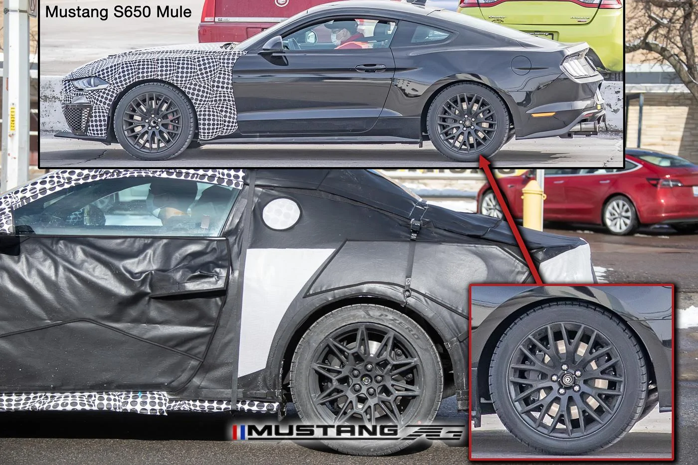 S650 mule.webp