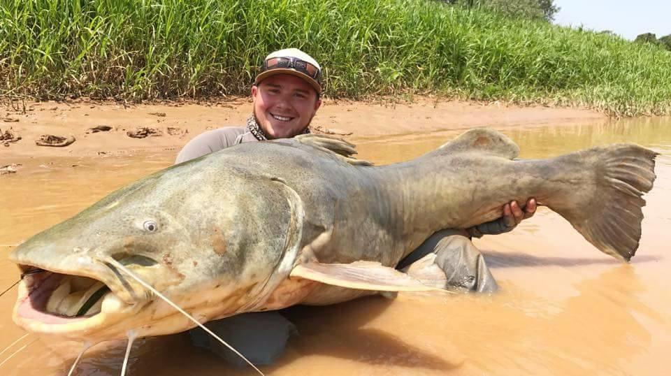 Martin-Content-170lb-Amazon-Jau-Catfish.jpg