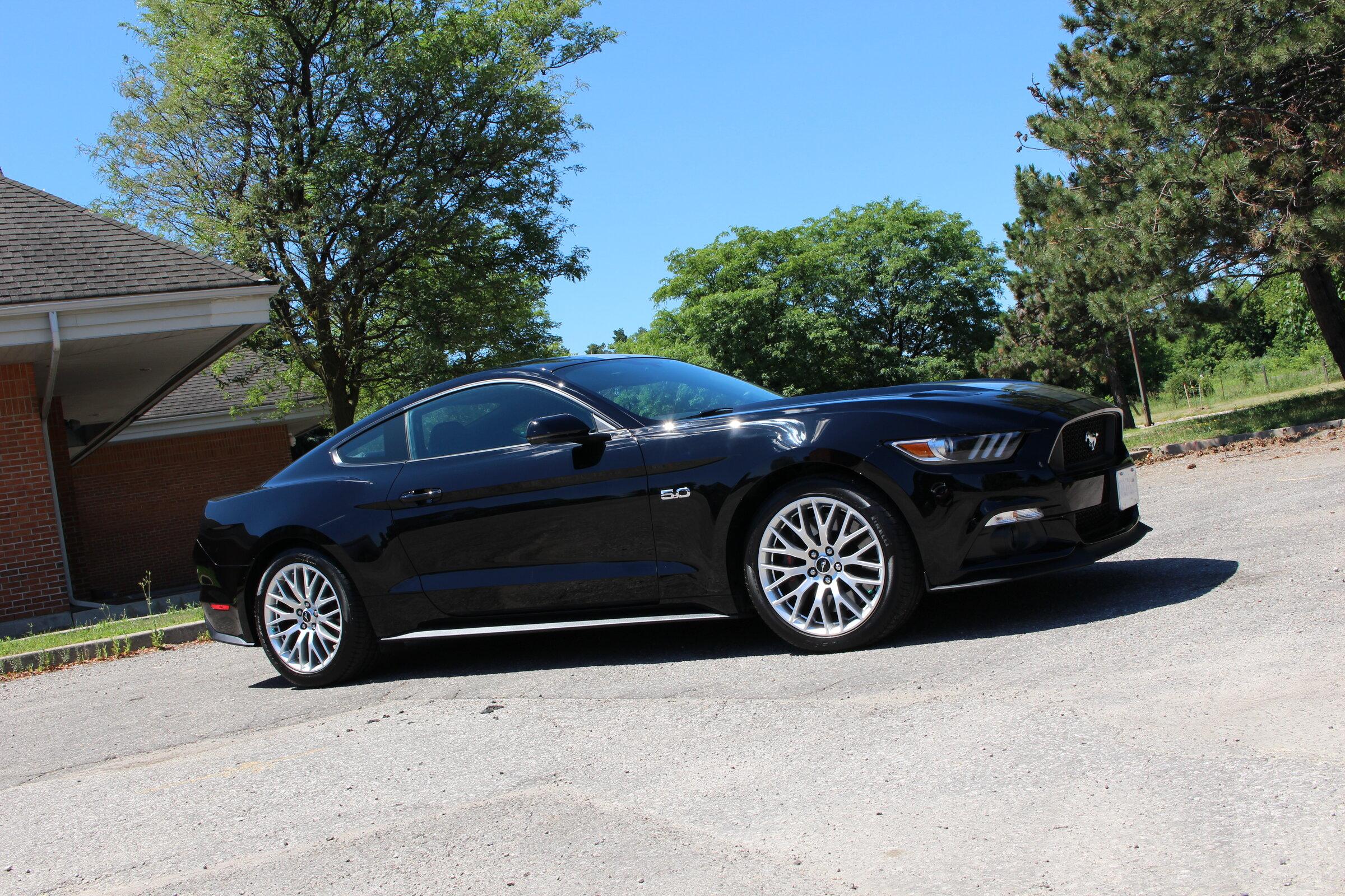 S650 Mustang GT500 Mustang S650 Mule! 📸 IMG_2305.JPG