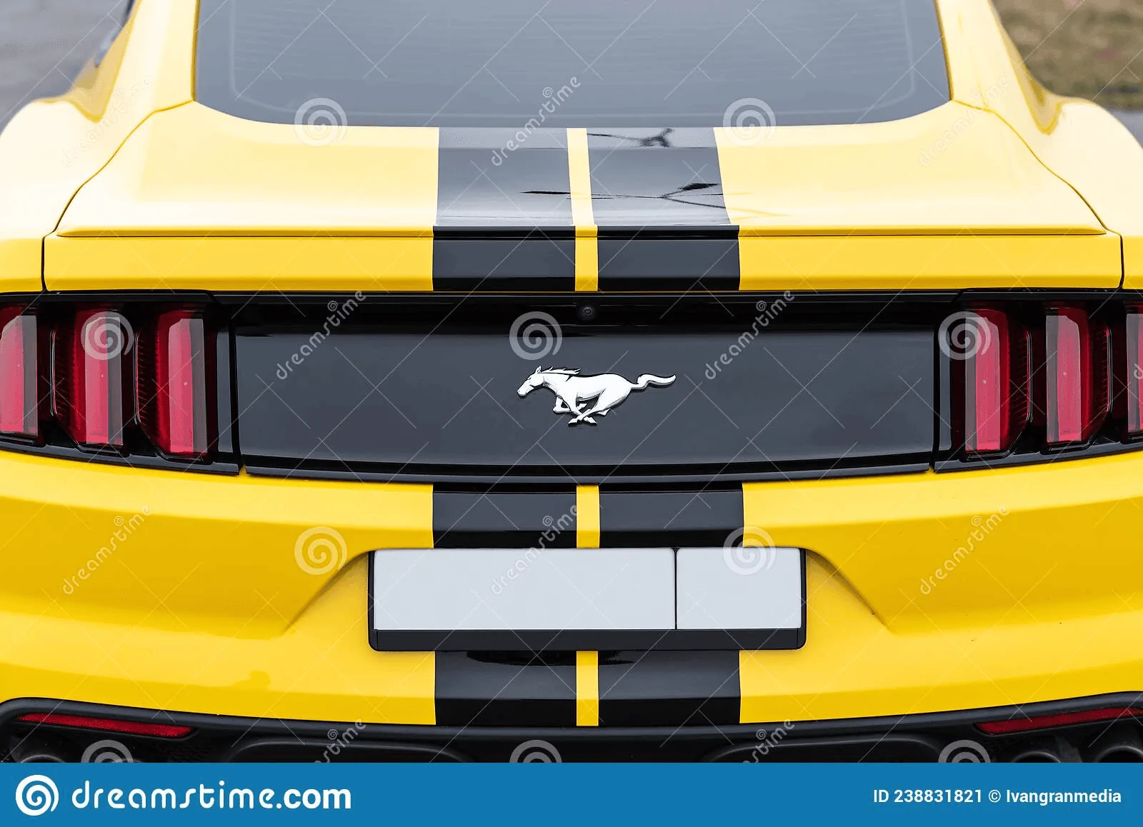 S650 Mustang 6/1/22 unveil for S650 Mustang or something else? 1654125696071