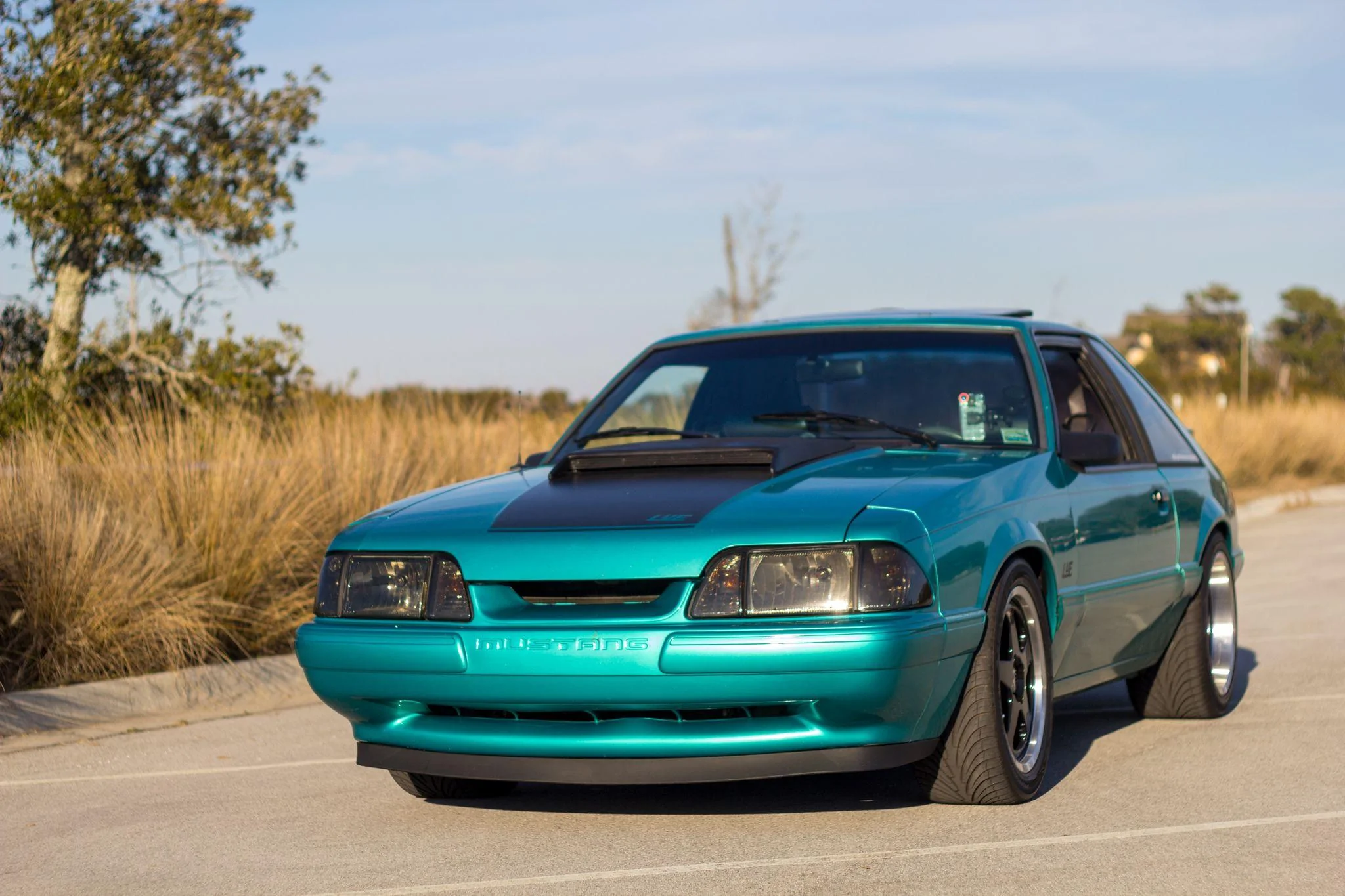 mustang-green-paint-color-codes_26bad8b4.jpg