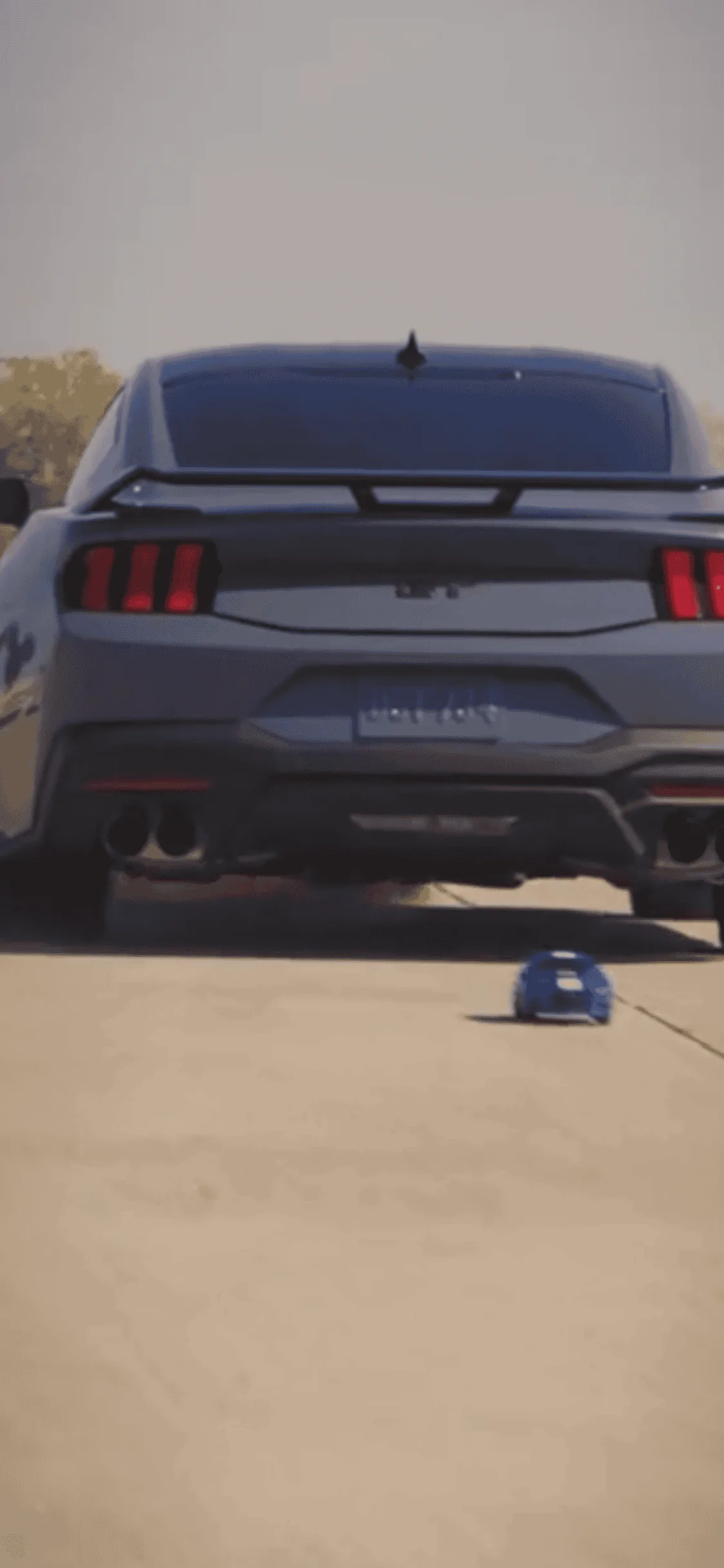 S650 Mustang There's a new pony in town BD946EC4-5DC9-4698-97F3-C419D506563D