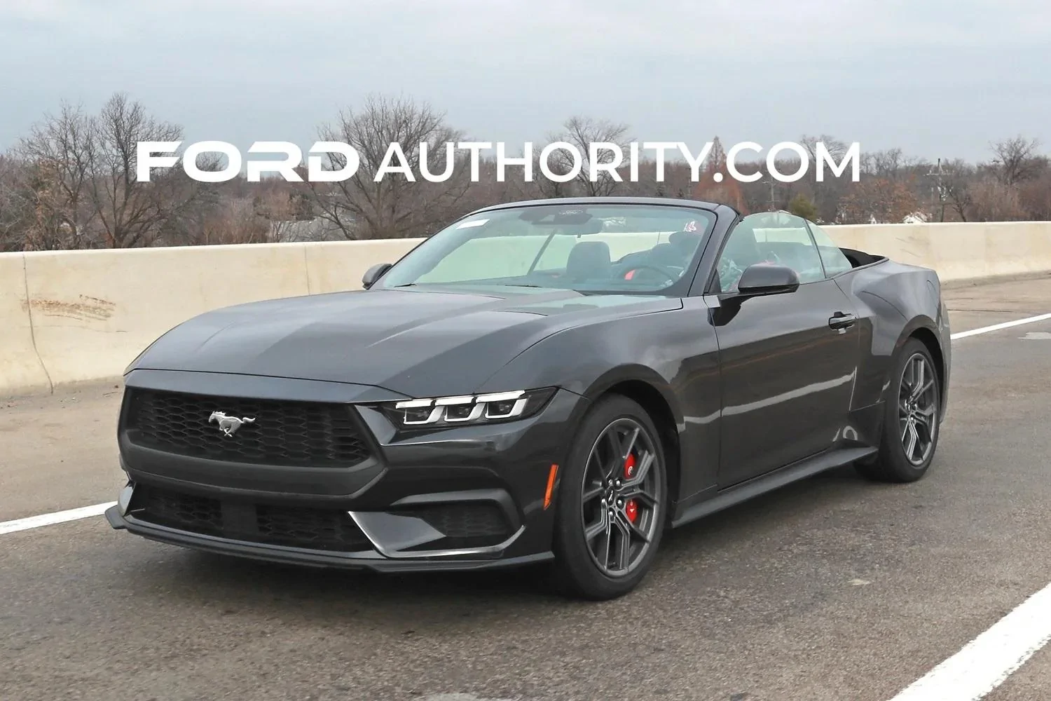 S650 Mustang Dark Matter Gray? dmg