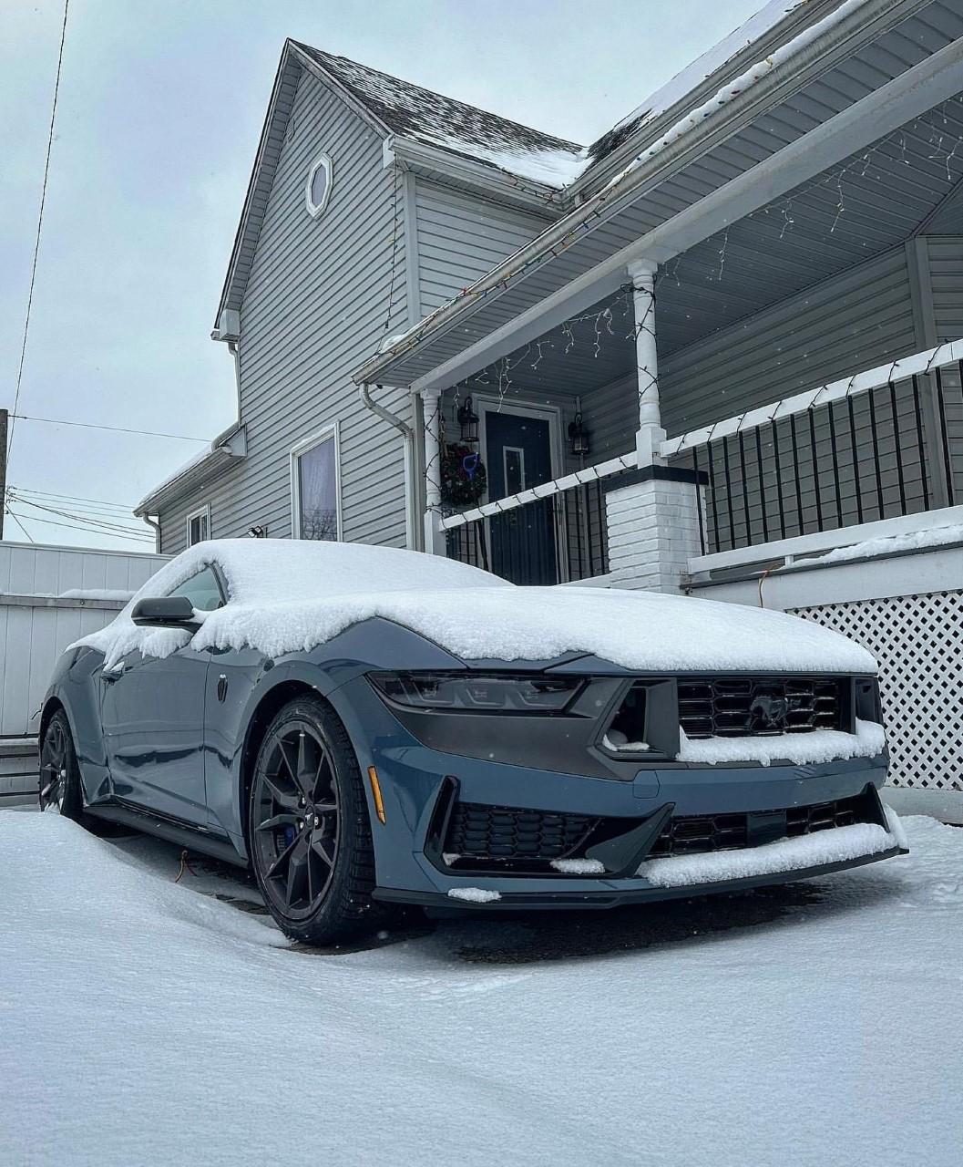 S650 Mustang S650 Mustang vs S550 Mustang side-by-side comparison pics thread S650 snow