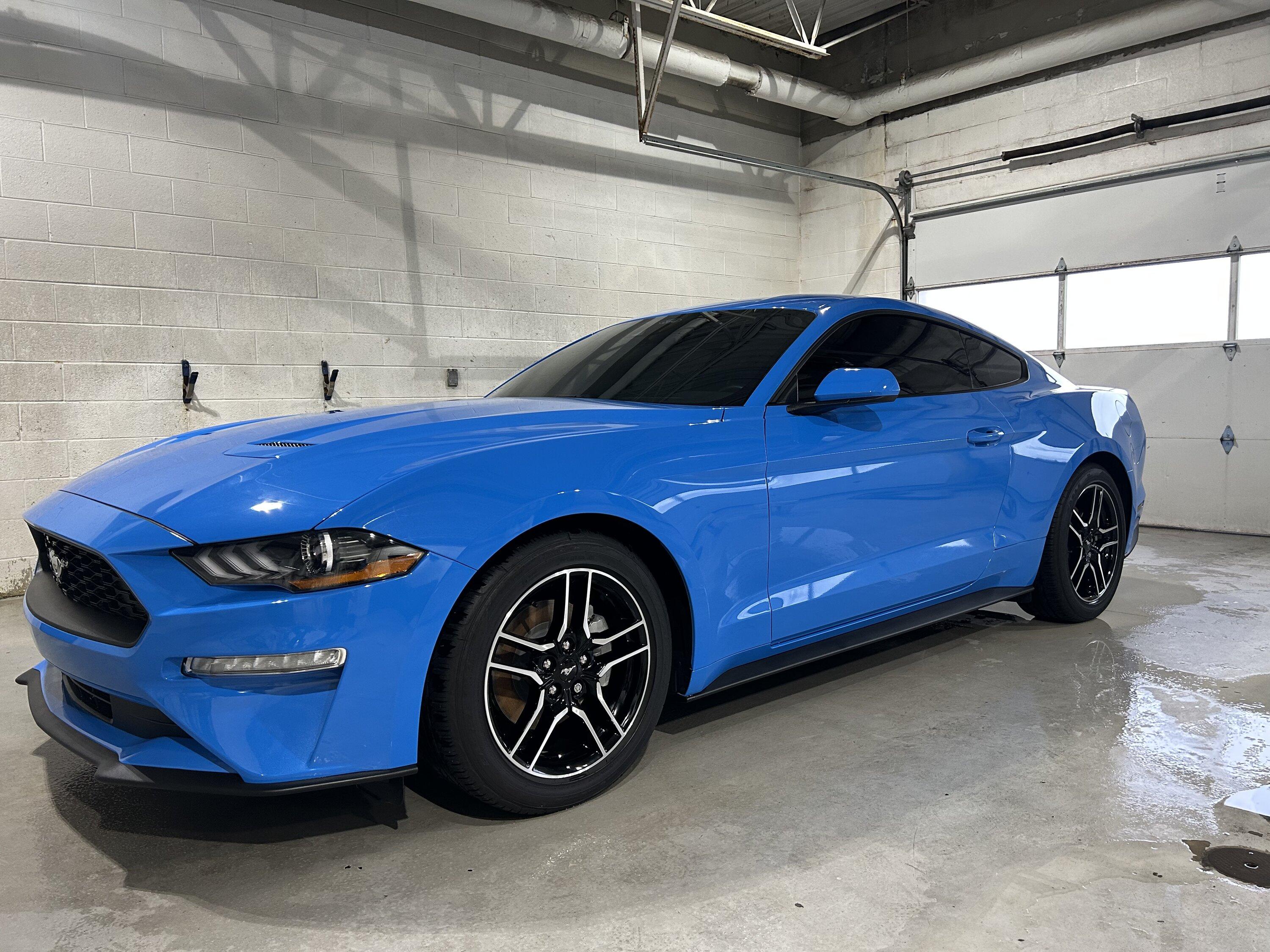 S650 Mustang S650 Mustang vs S550 Mustang side-by-side comparison pics thread D9CC856C-9885-48C9-A1AE-BF6DD261B0E8