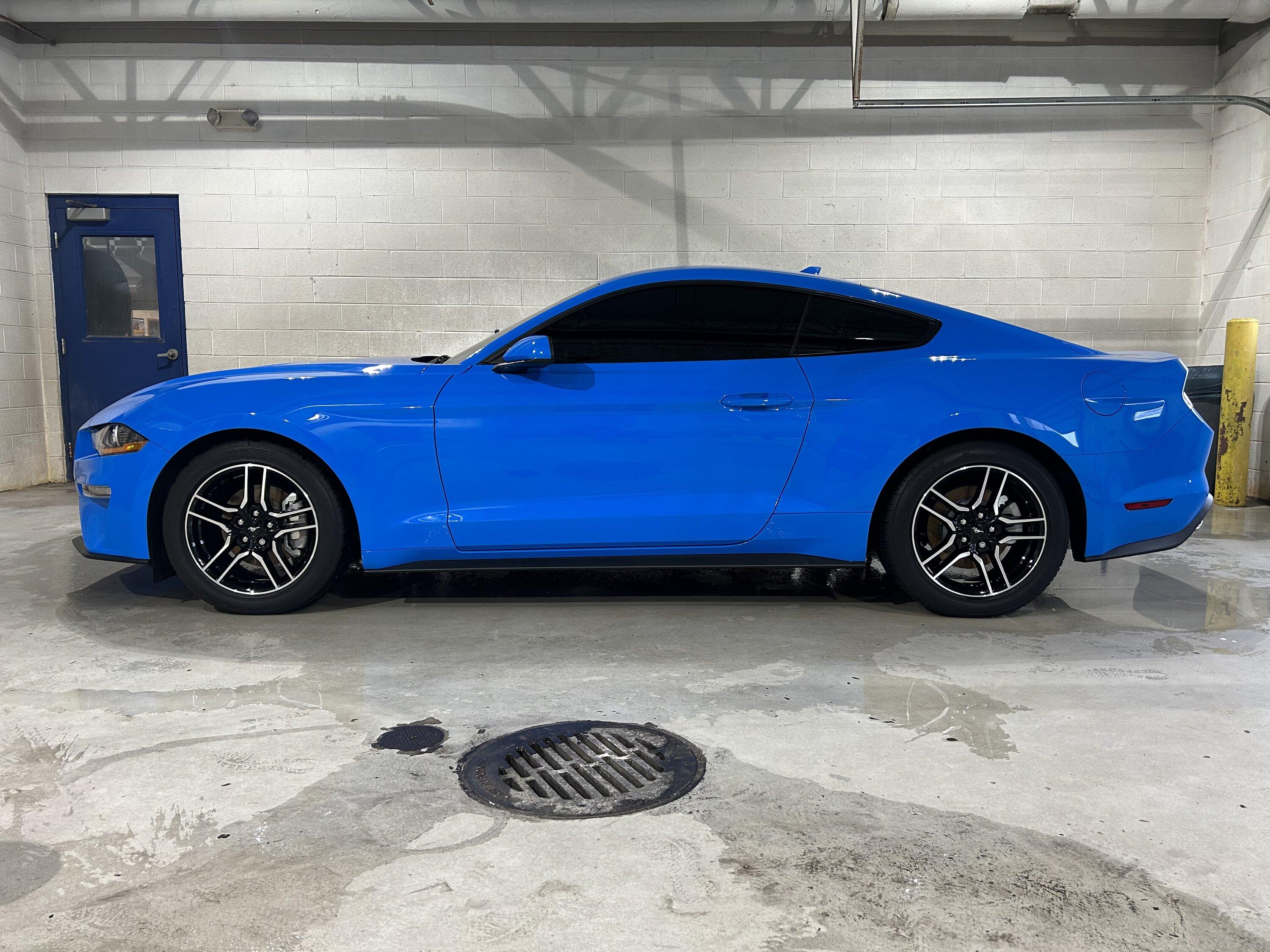 S650 Mustang S650 Mustang vs S550 Mustang side-by-side comparison pics thread B4DC7A36-C0CF-42CA-A114-4CC278BE274C