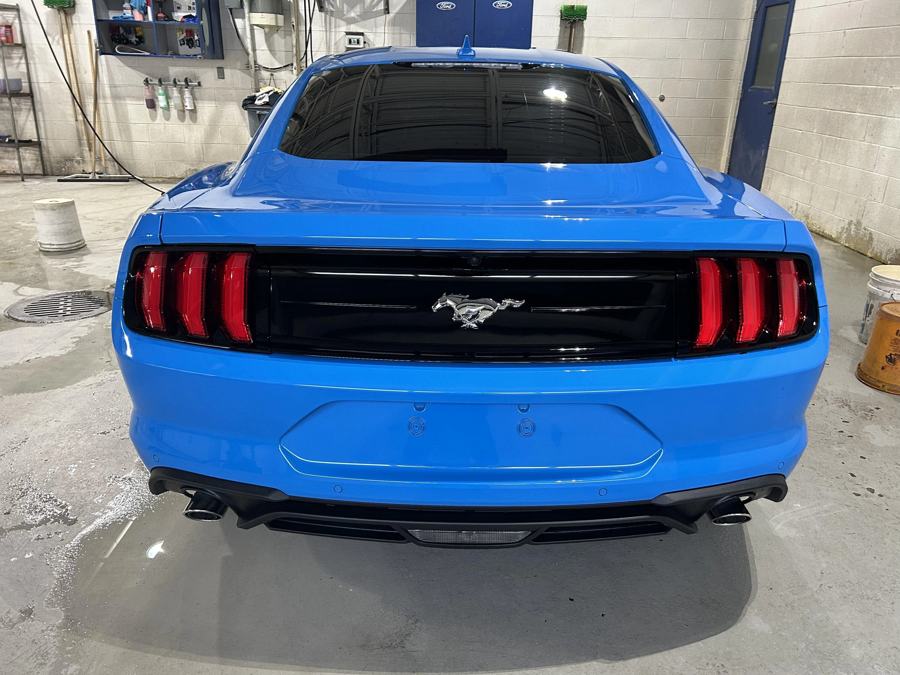 S650 Mustang S650 Mustang vs S550 Mustang side-by-side comparison pics thread 75B7CEA6-17F0-4548-83E4-65D463F4462A