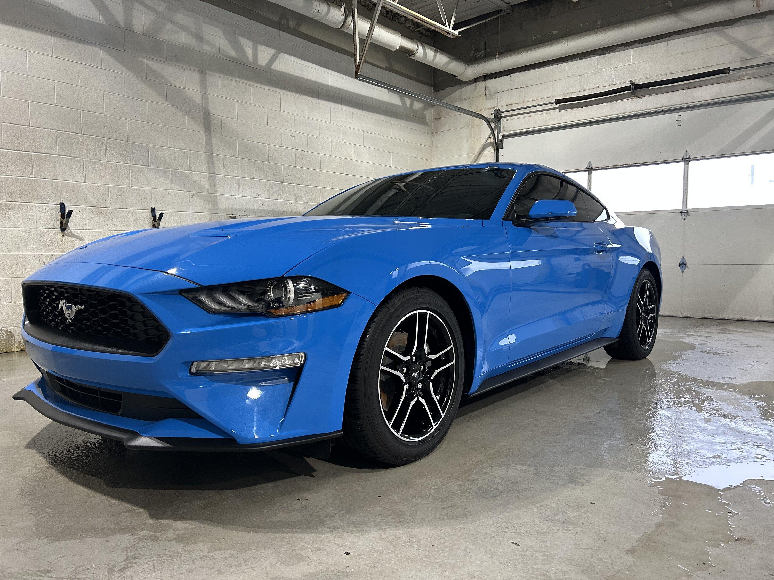 S650 Mustang S650 Mustang vs S550 Mustang side-by-side comparison pics thread 7D28351C-ADF6-4D4F-97D1-9881D958C61A