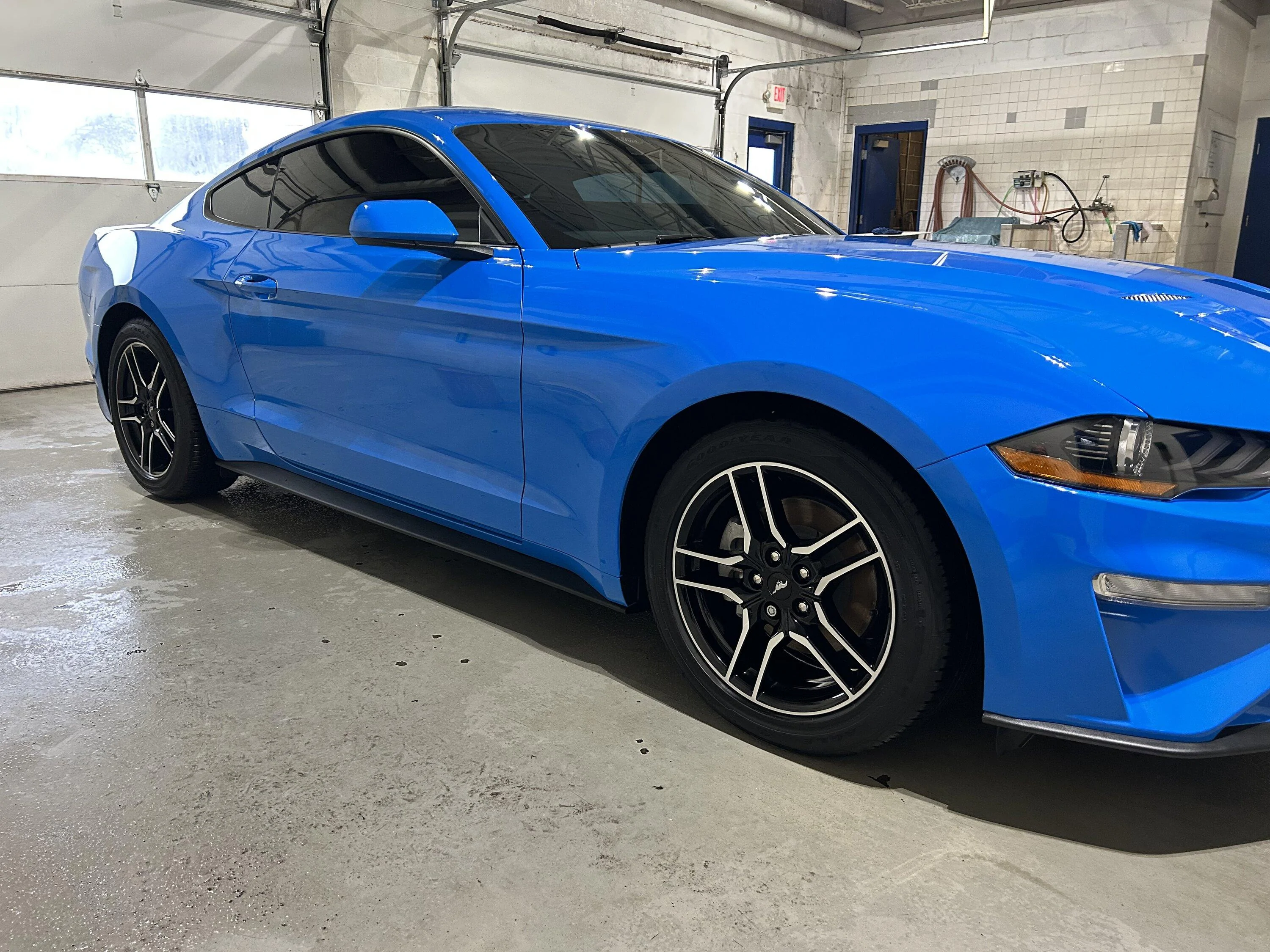 S650 Mustang S650 Mustang vs S550 Mustang side-by-side comparison pics thread 57AC9A5D-F017-4C76-839B-13A40407C28A