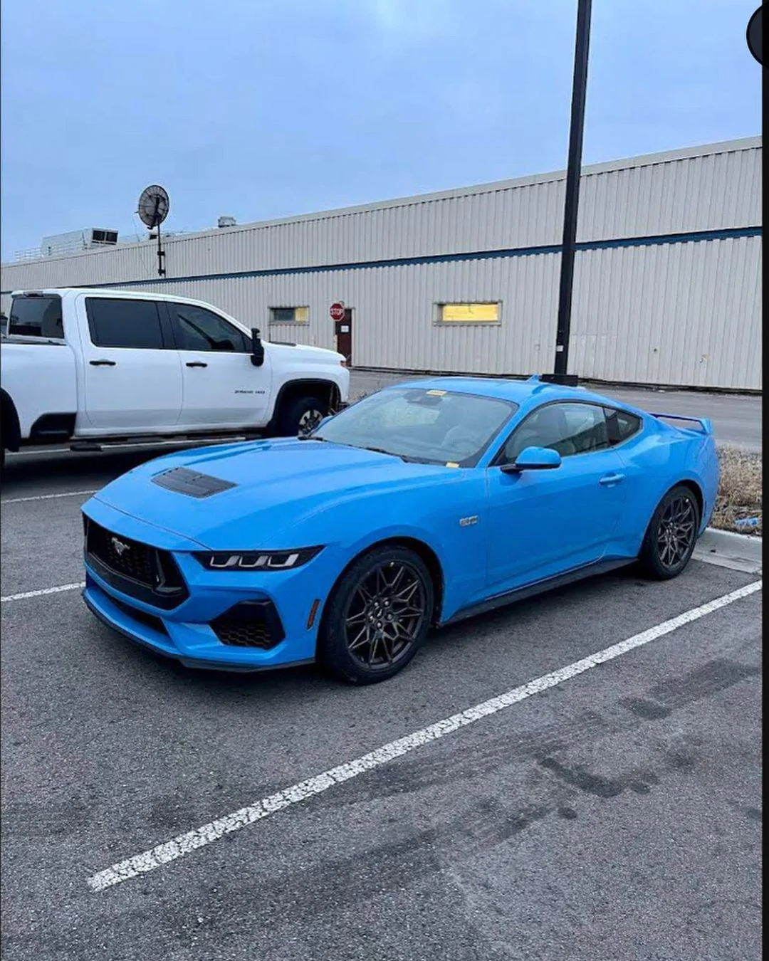 S650 Mustang S650 Mustang vs S550 Mustang side-by-side comparison pics thread 1B950F1E-C4CC-4C5C-A756-7B0660678E82