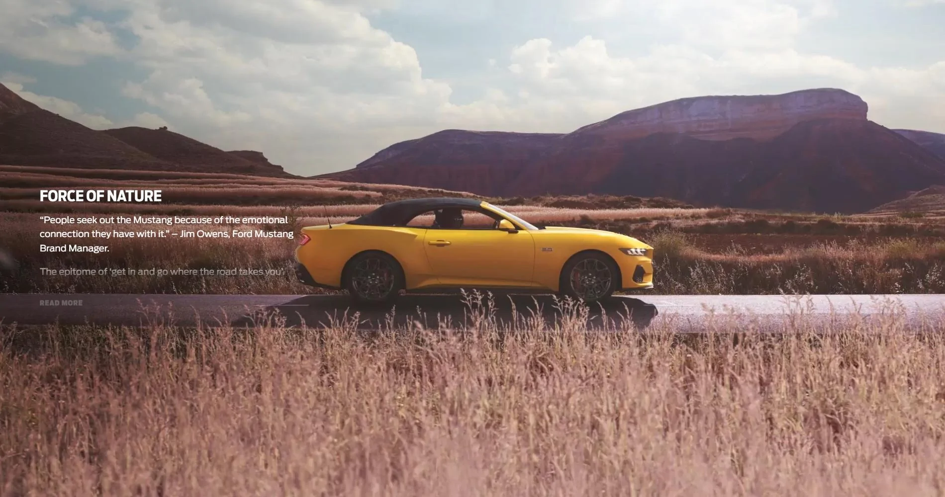 S650 Mustang Official YELLOW SPLASH Mustang S650 Thread nature0