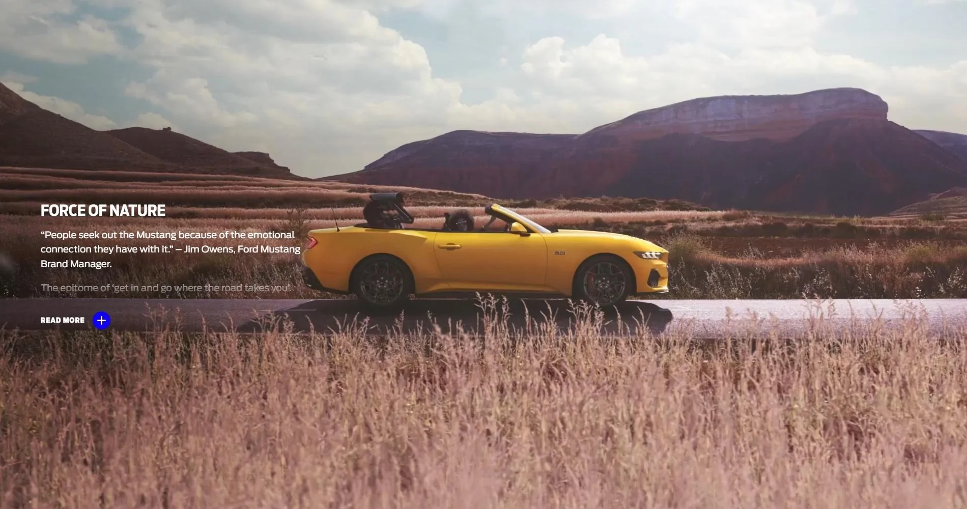 S650 Mustang Official YELLOW SPLASH Mustang S650 Thread natur