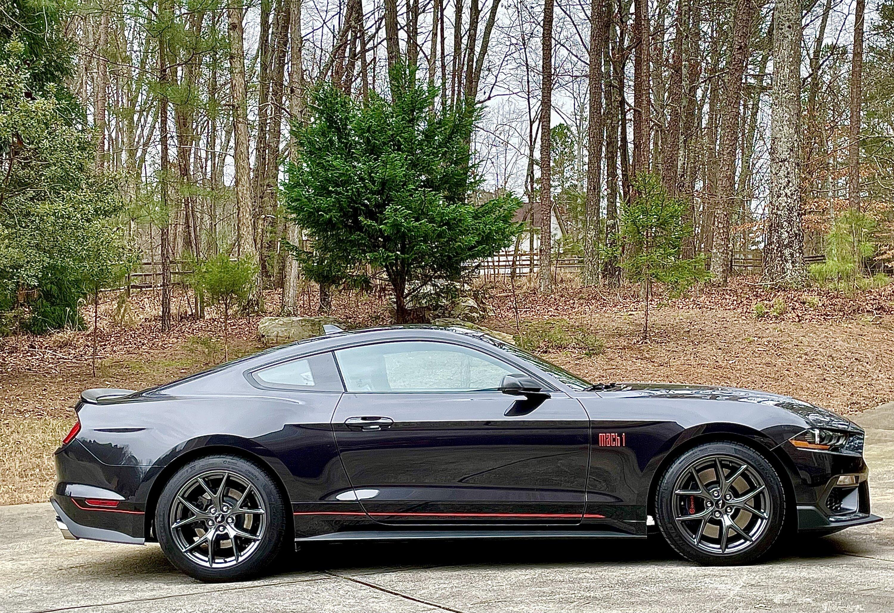 S650 Mustang S650 vs S550 real life side by side comparison look (rear view) 40AEDEBF-3BD6-4DCD-9066-8D7E9E79CA86