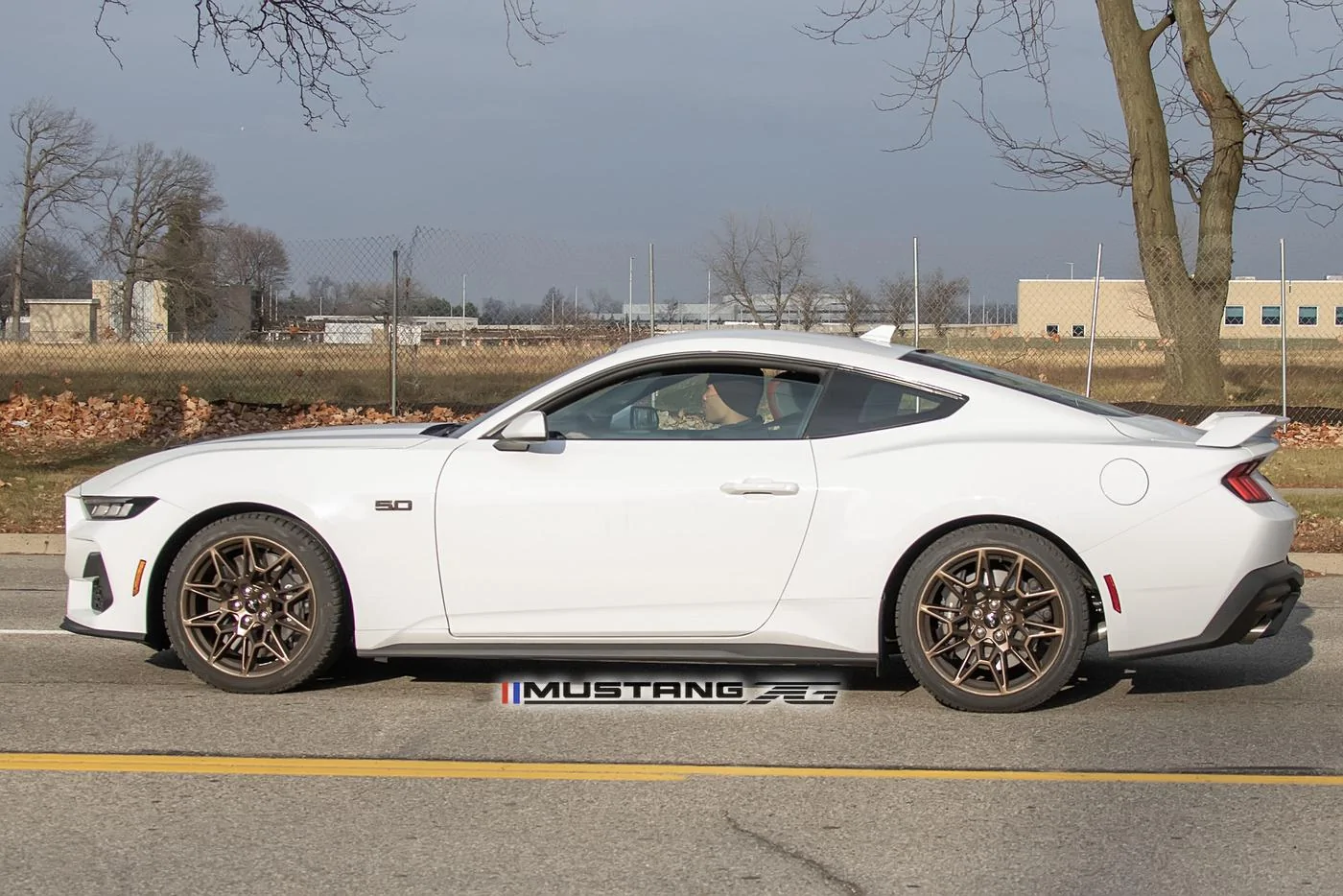 S650 Mustang Bronze package with performance package ? Bronz