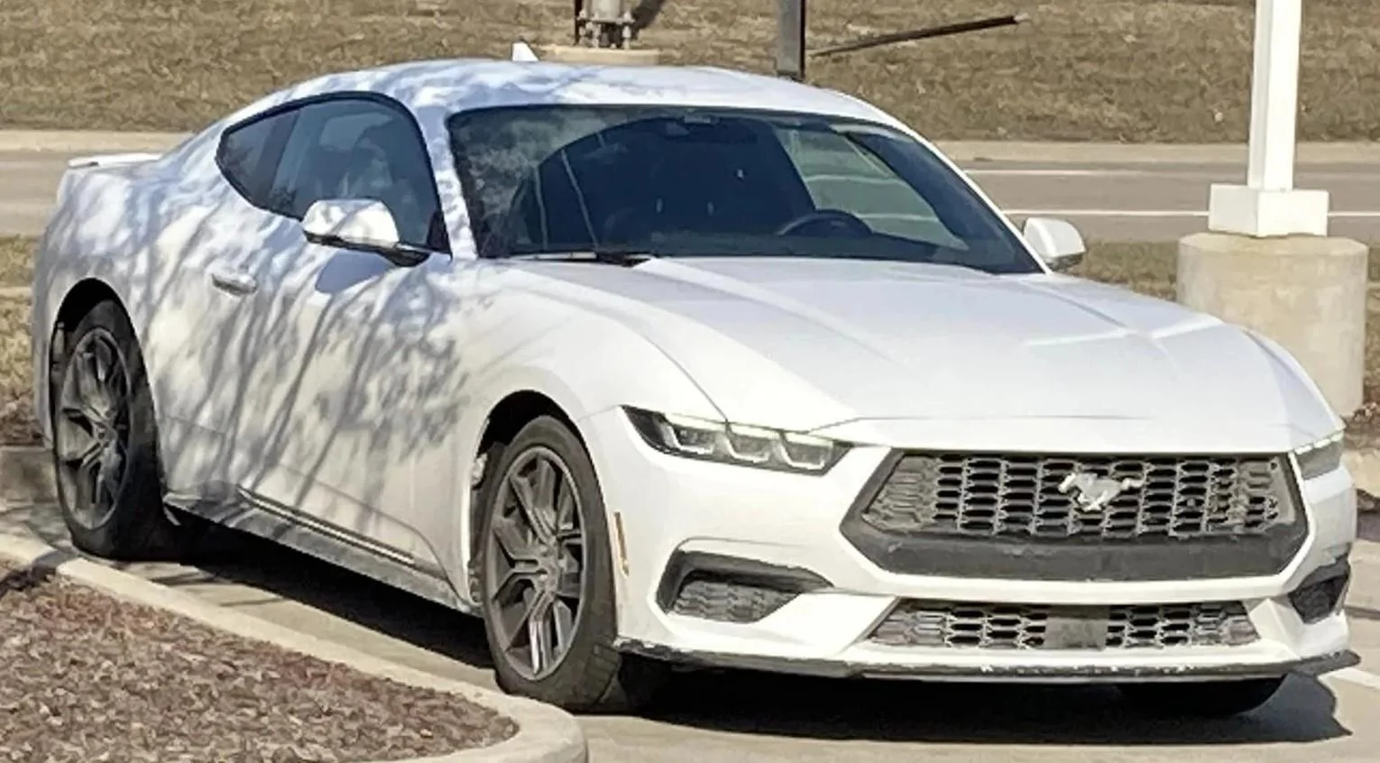 S650 Mustang Official OXFORD WHITE Mustang S650 Thread Oxford White 1 (2)