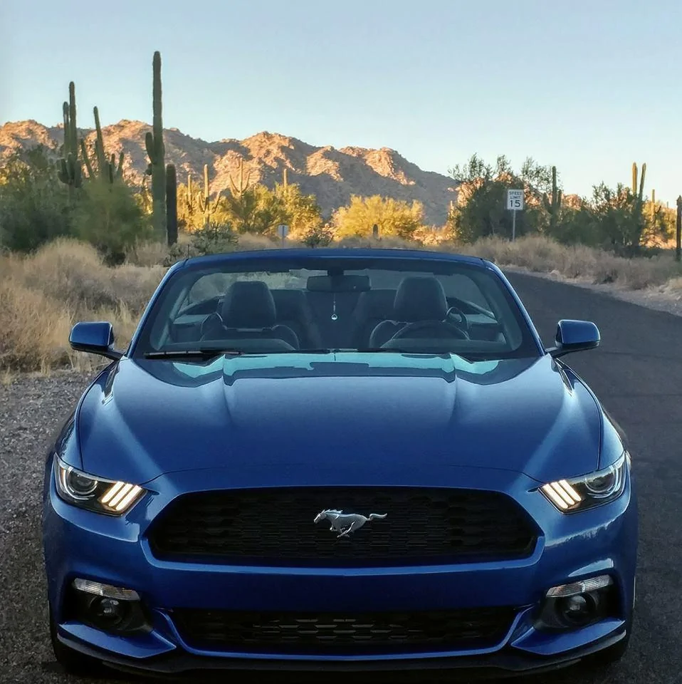 S650 Mustang 2024+ Mustang S650 Orders Tracking List & Stats [Enter Yours!] 23622539_10211470130564058_1642806308040825273_n