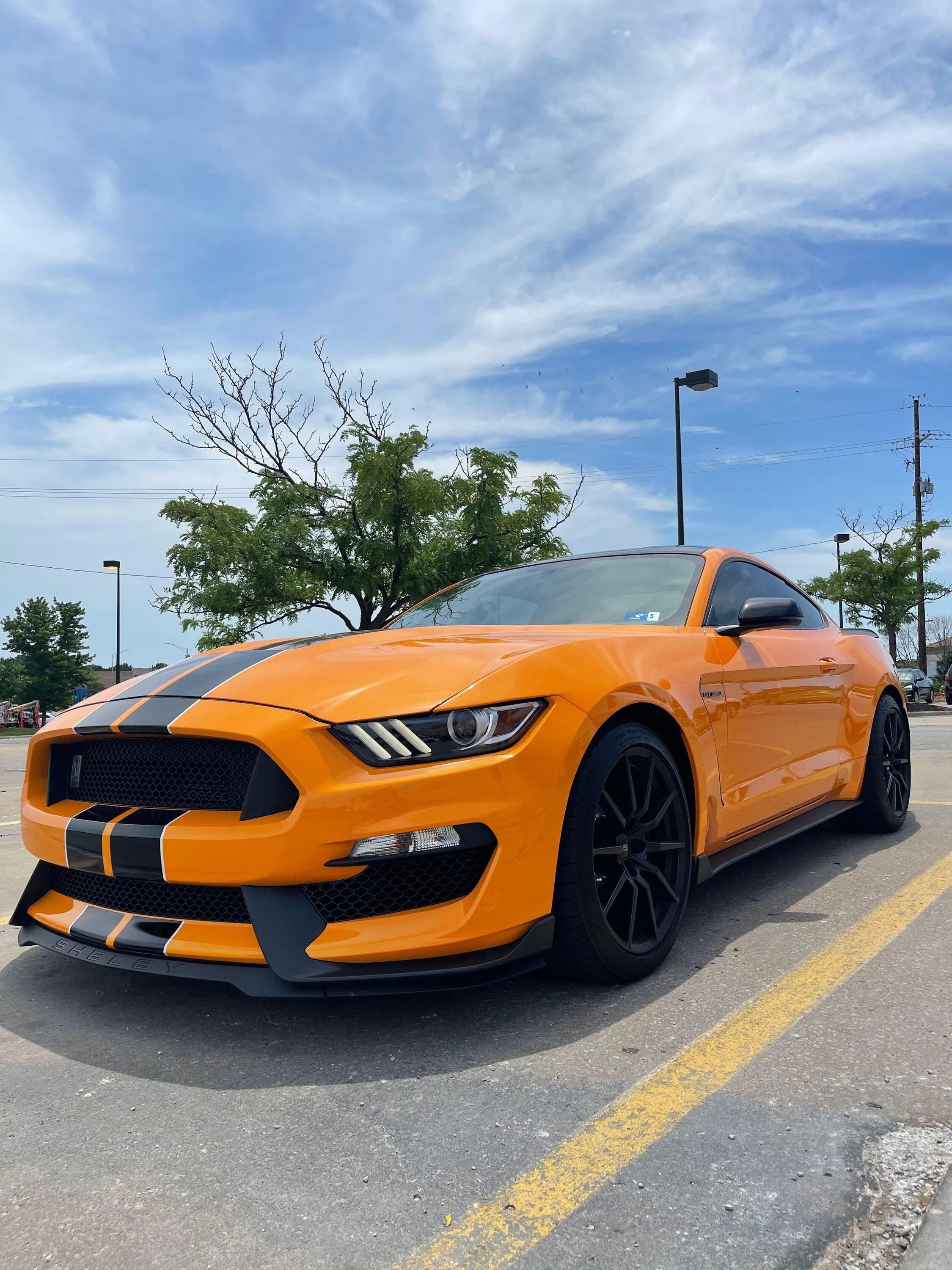 S650 Mustang Bronco Raptor or Dark Horse IMG_2942_Original