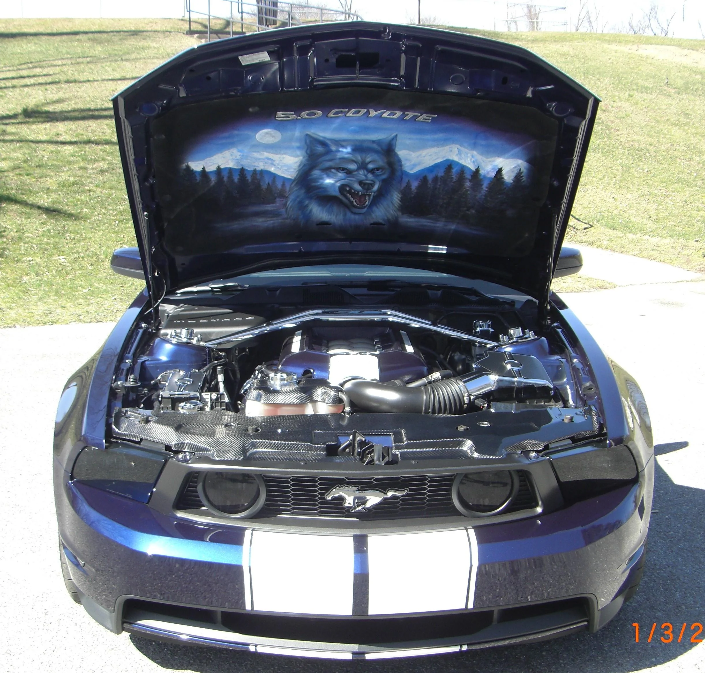 S650 Mustang What are you upgrading from? CIMG3512 (2)
