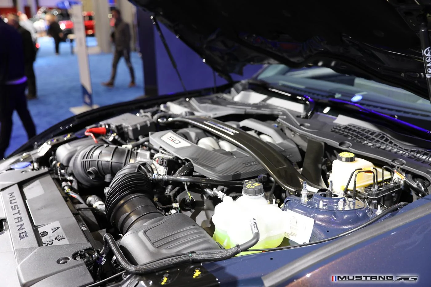 Dark-Horse-2024-mustang-engine-bay-8.jpg