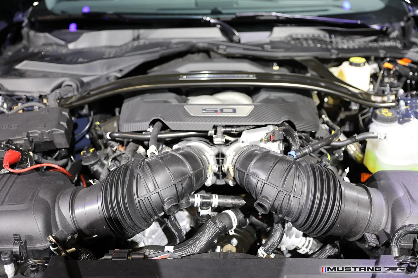 Dark-Horse-2024-mustang-engine-bay-9.jpg