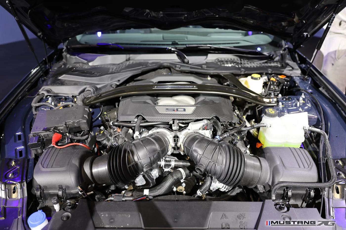 Dark-Horse-2024-mustang-engine-bay-10.jpg