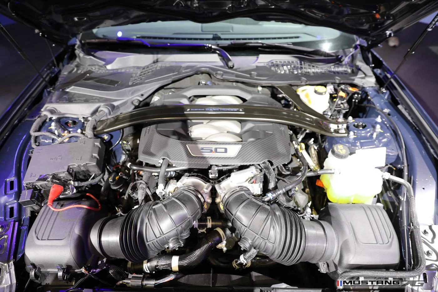 Dark-Horse-2024-mustang-engine-bay-12.jpg