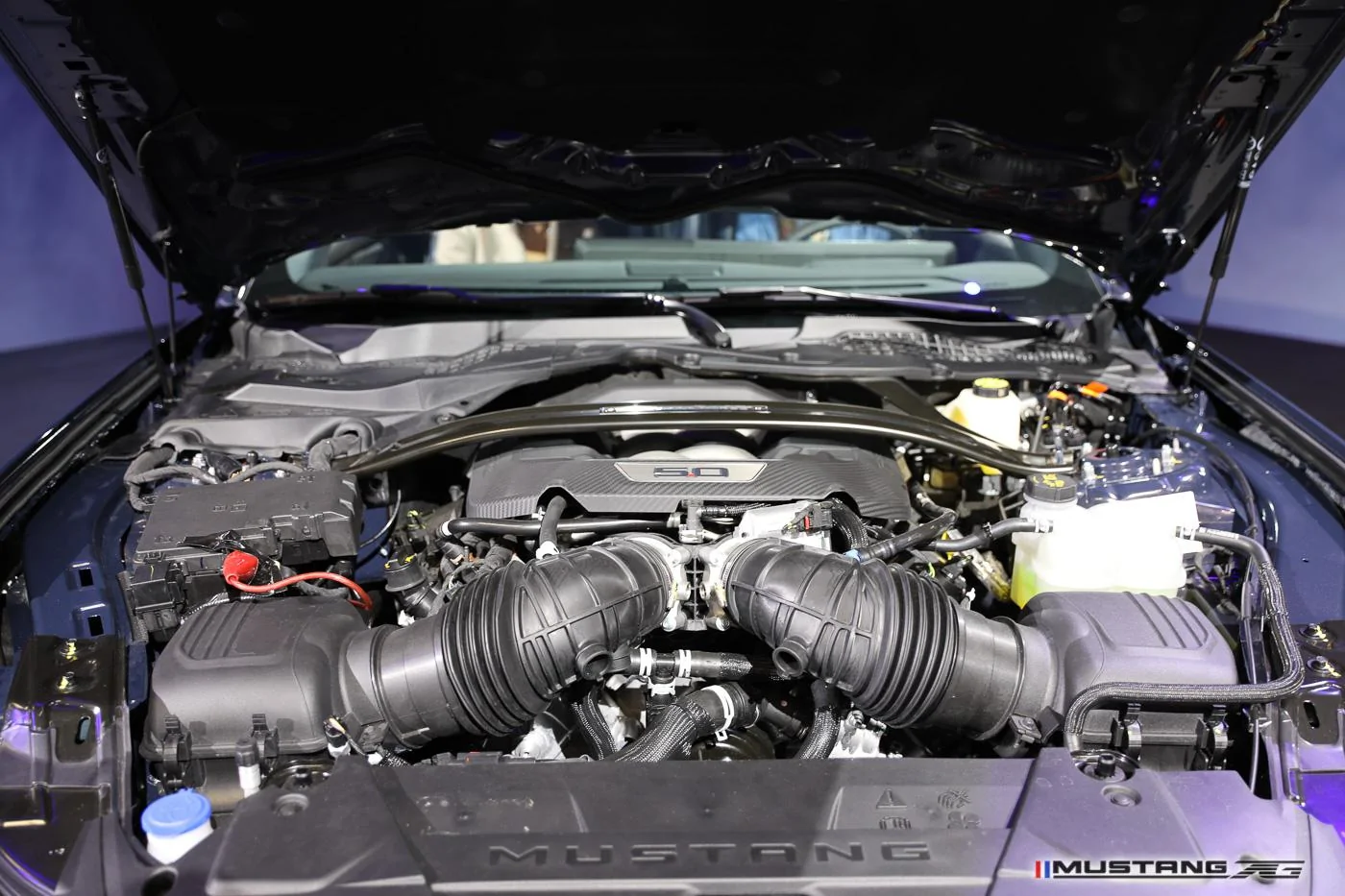 Dark-Horse-2024-mustang-engine-bay-17.jpg