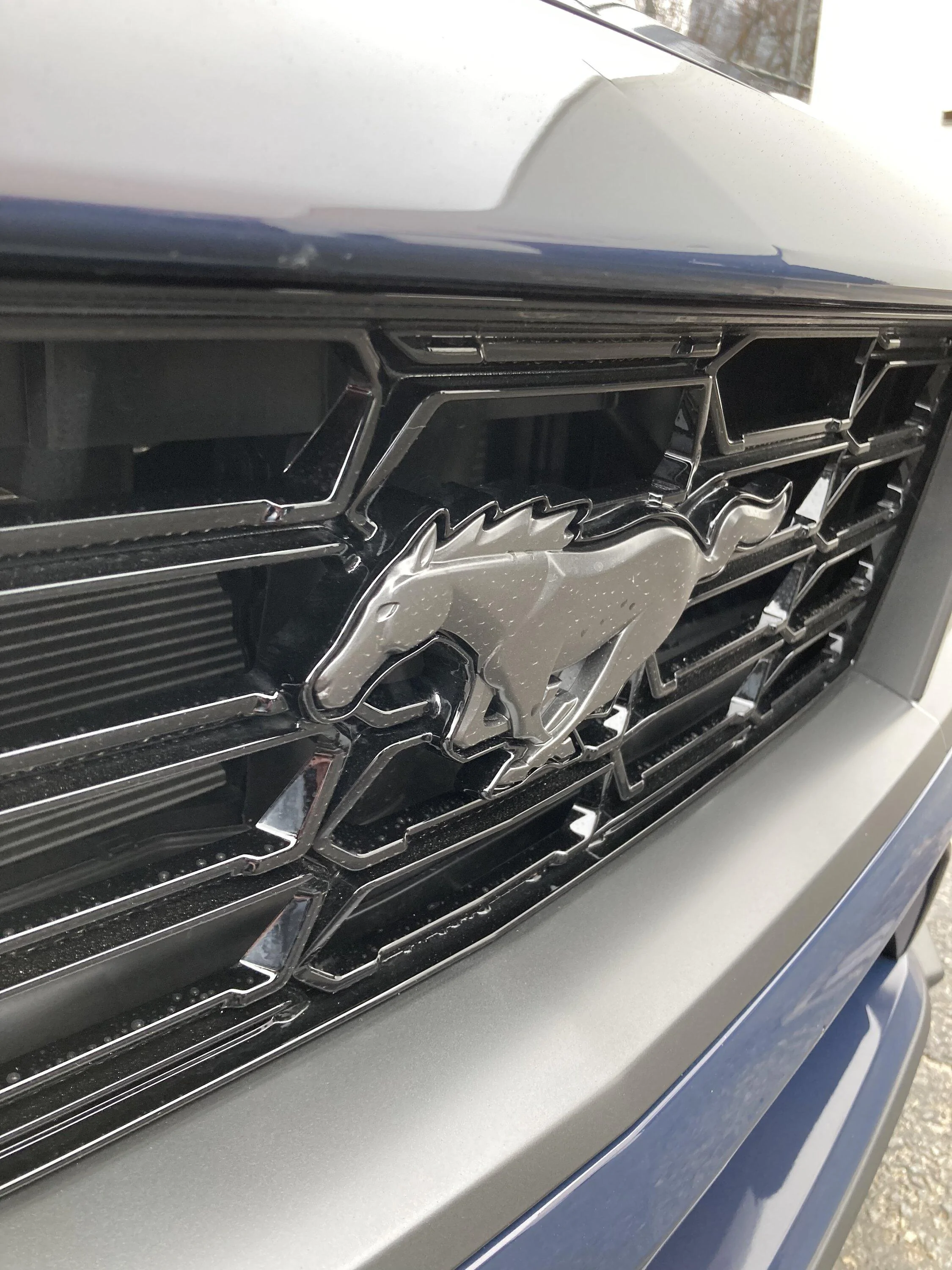 S650 Mustang Official BLUE EMBER Mustang S650 Thread afcd2ead-2226-4fd0-bd12-aa221d931530-jpeg