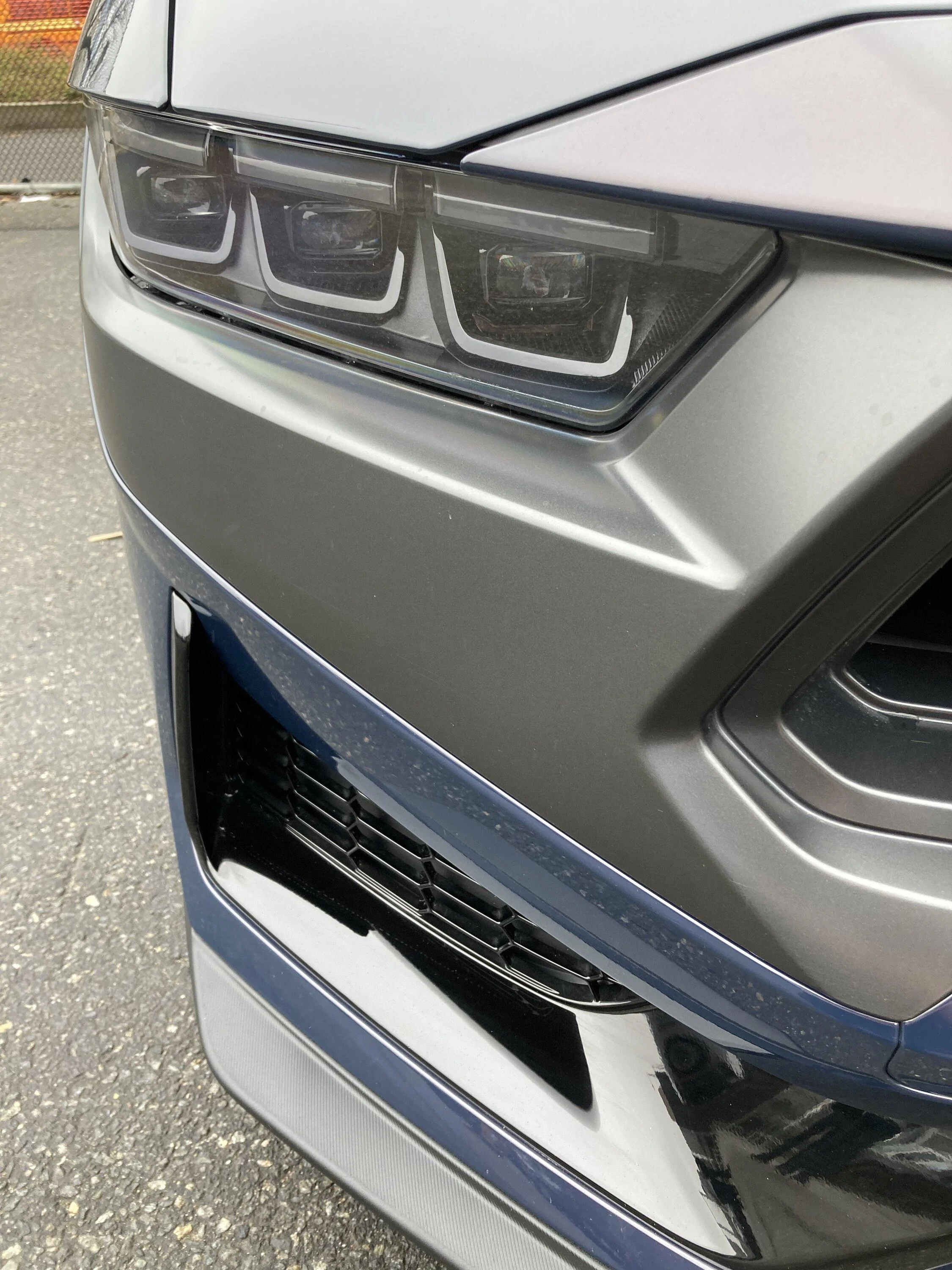 S650 Mustang Official BLUE EMBER Mustang S650 Thread c8f61016-f2ee-498a-923e-3dd1ce601ea1-jpeg