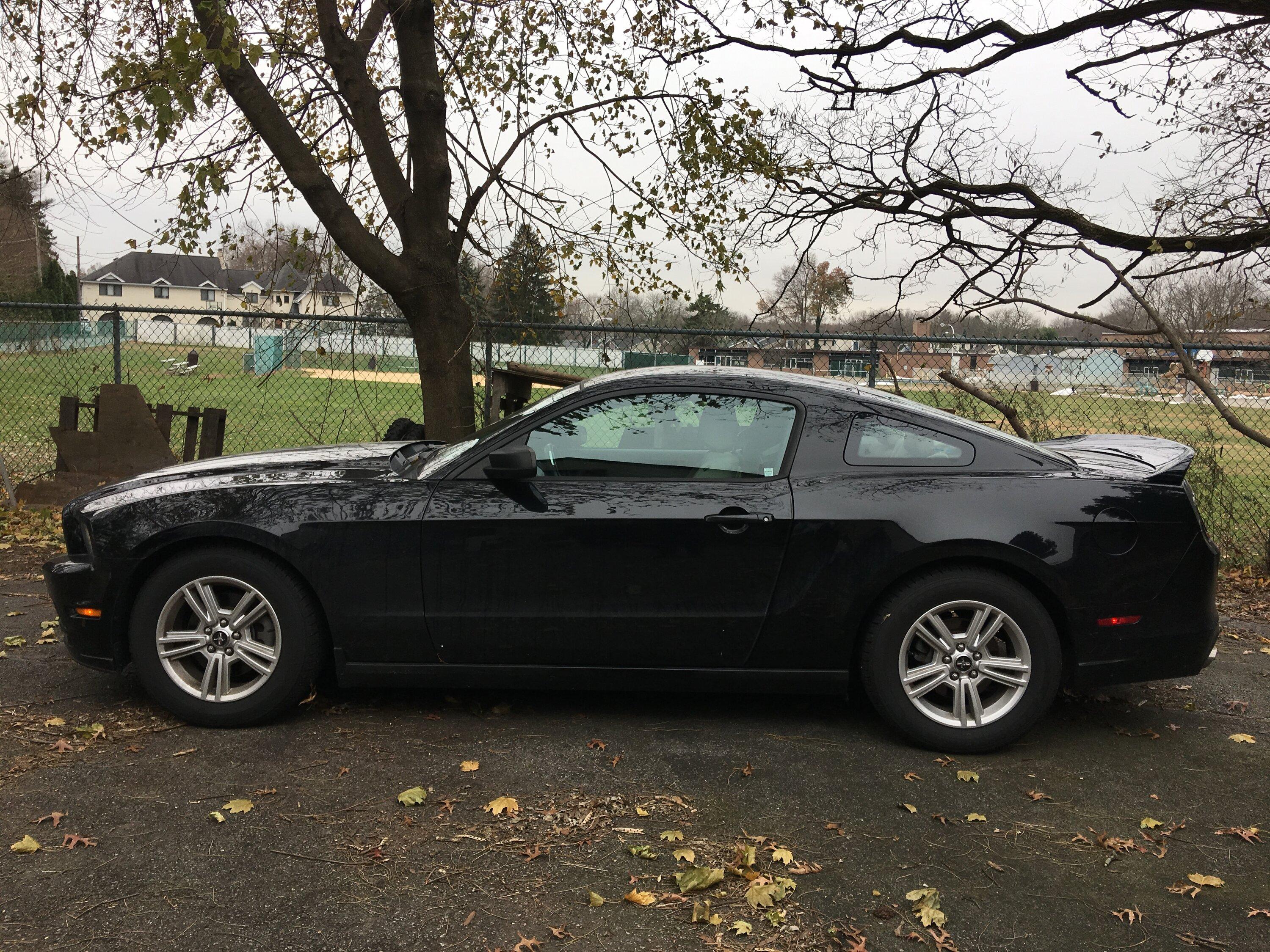 S650 Mustang First mod for your S650 will be... ? 1D36D590-A34D-4F51-AD09-4A472D643CEE