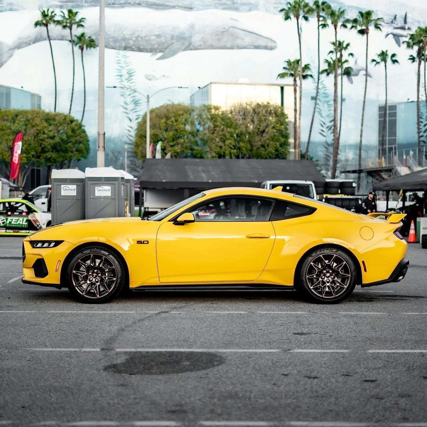 S650 Mustang Official YELLOW SPLASH Mustang S650 Thread 18335512-251D-4362-BCC3-A24DB47816B8