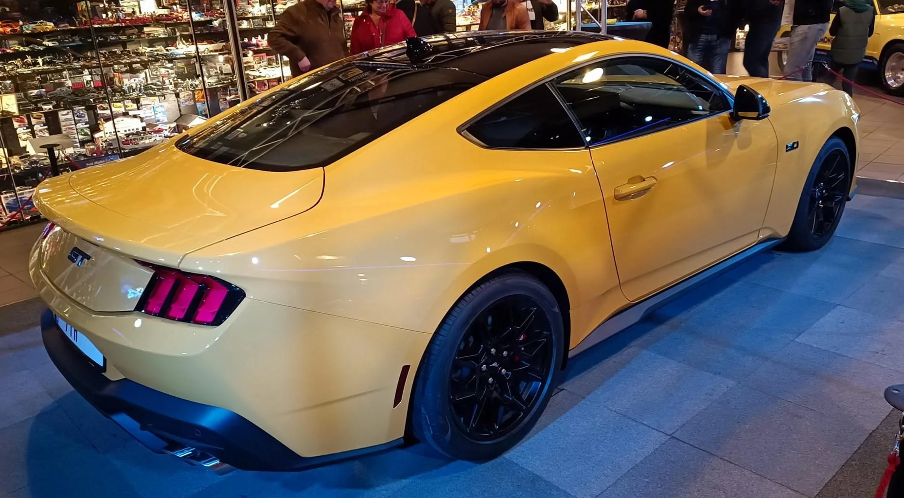 Yellow Splash Adelbert 5.jpg