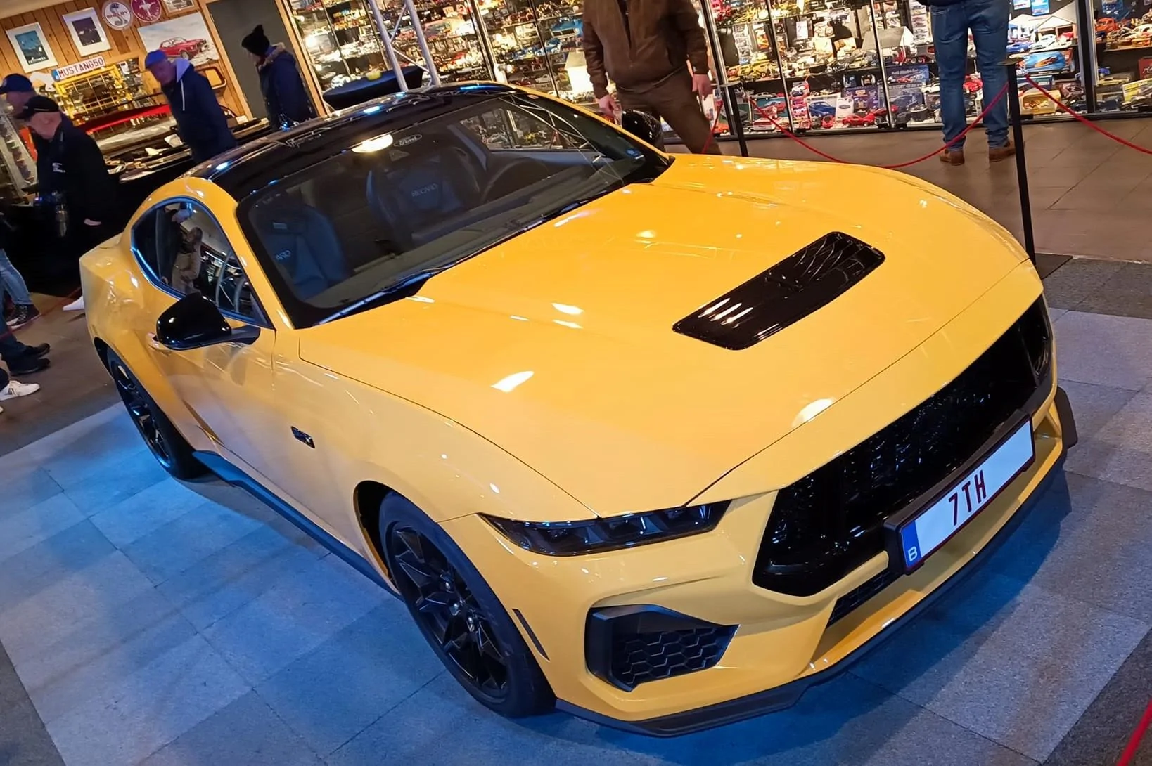 Yellow Splash Adelbert 6.jpg