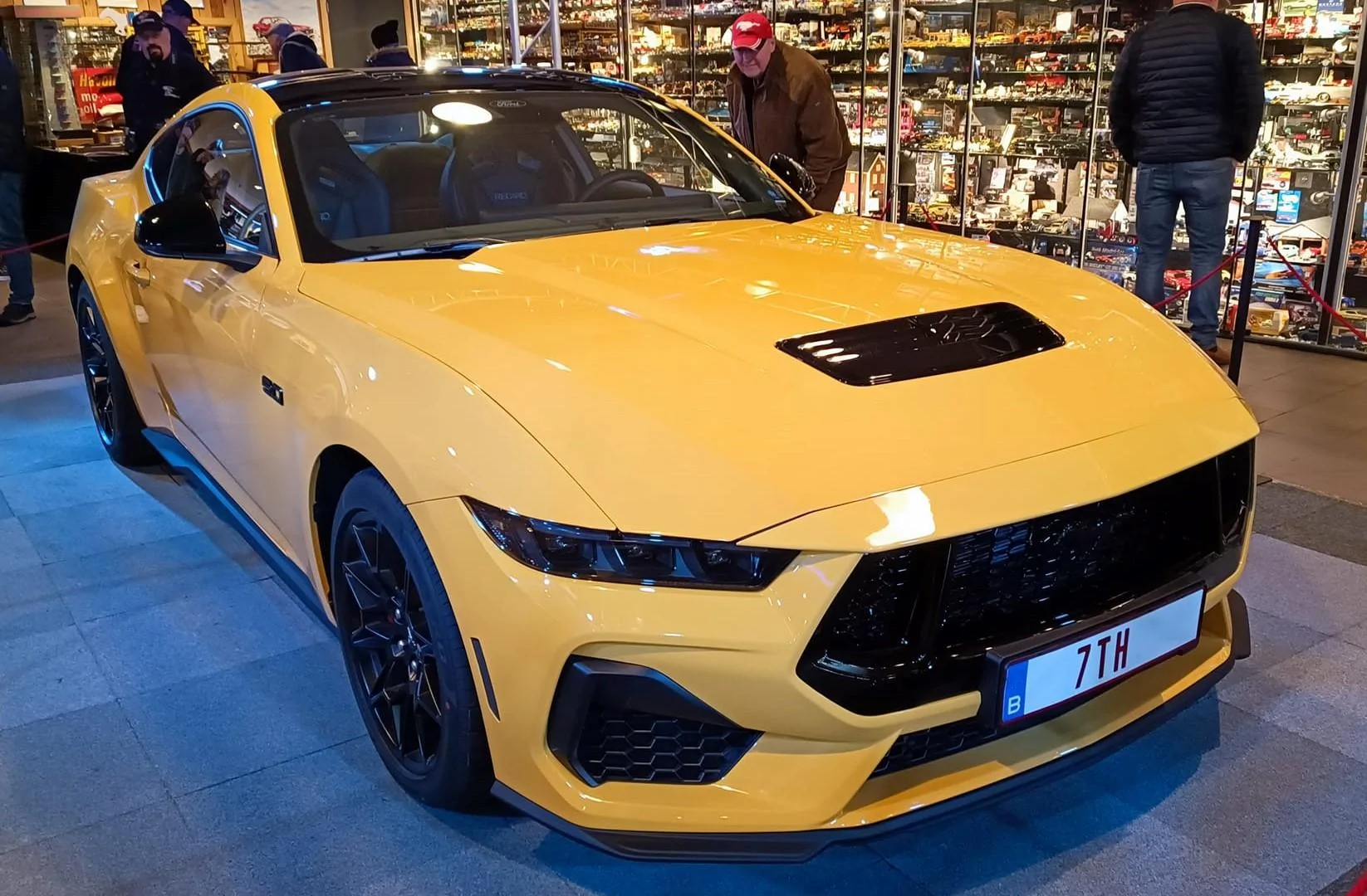 Yellow Splash Adelbert 7.jpg