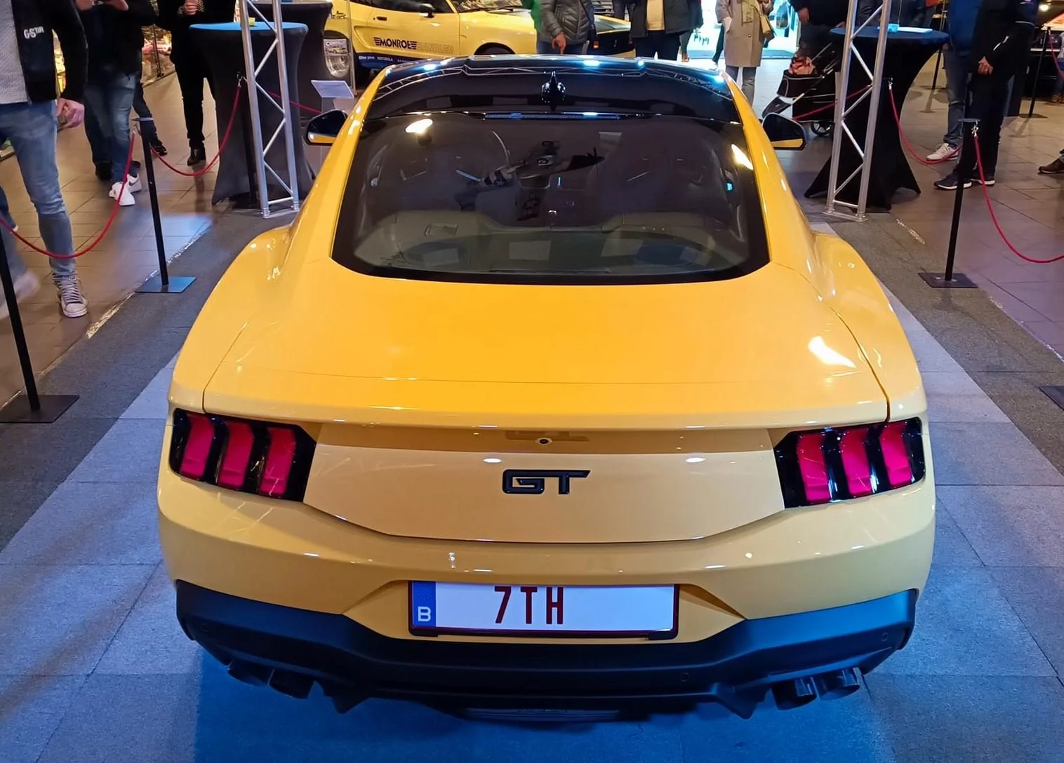 Yellow Splash Adelbert 8.jpg
